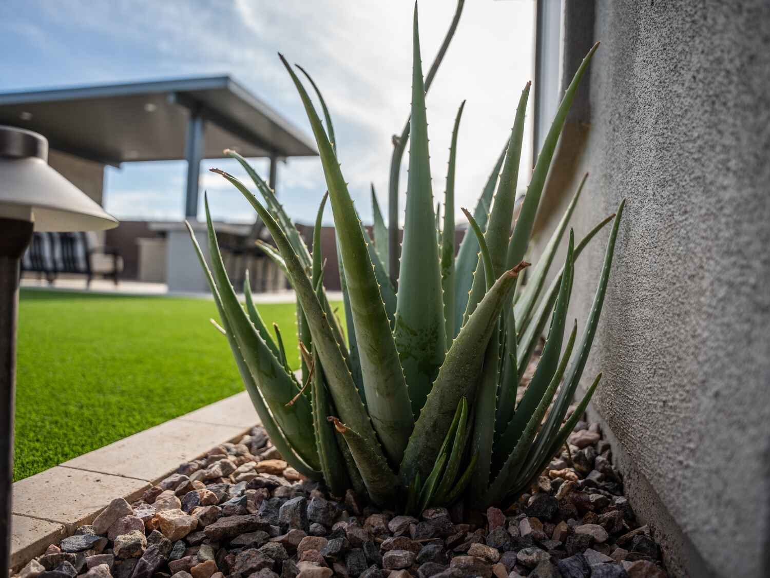 A desert plant with decorative rocks in Paradise Valley, AZ beside artificial turf and a modern outdoor kitchen