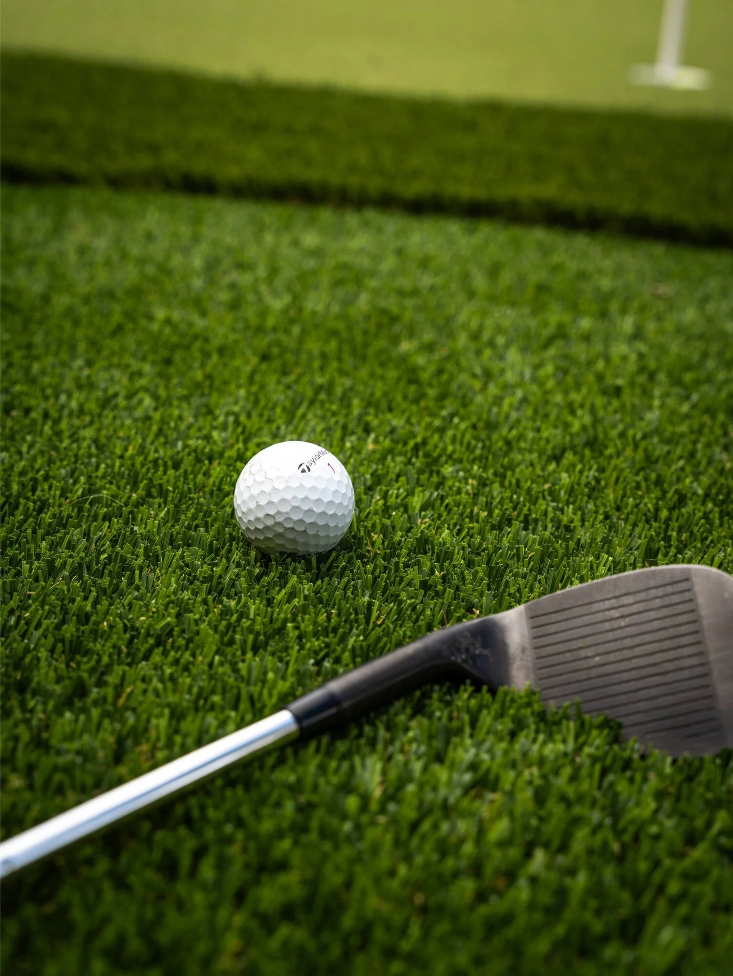 Golf ball on putting green surface in Phoenix, AZ