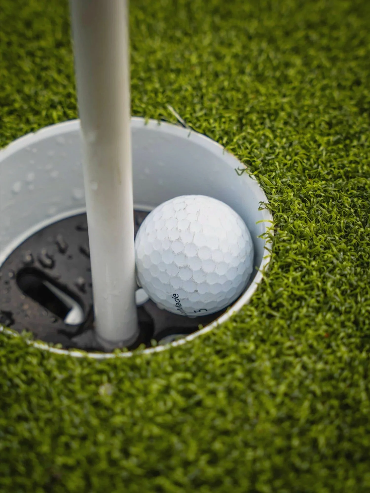 Backyard putting green layout in Scottsdale, AZ