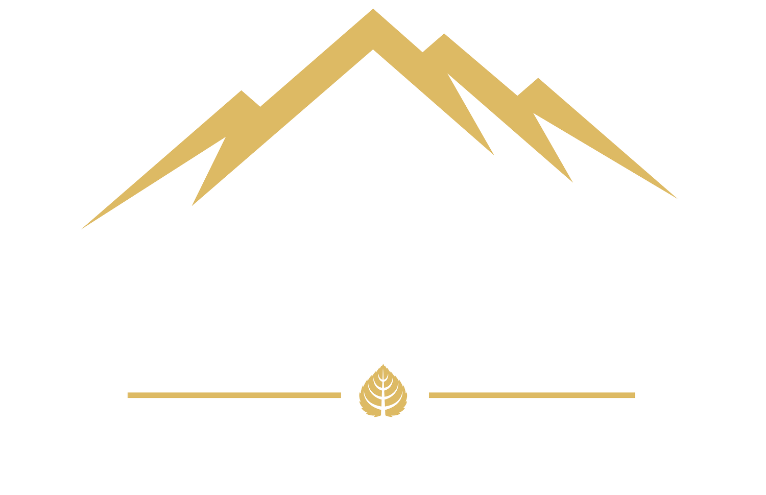 Aspen Integrity