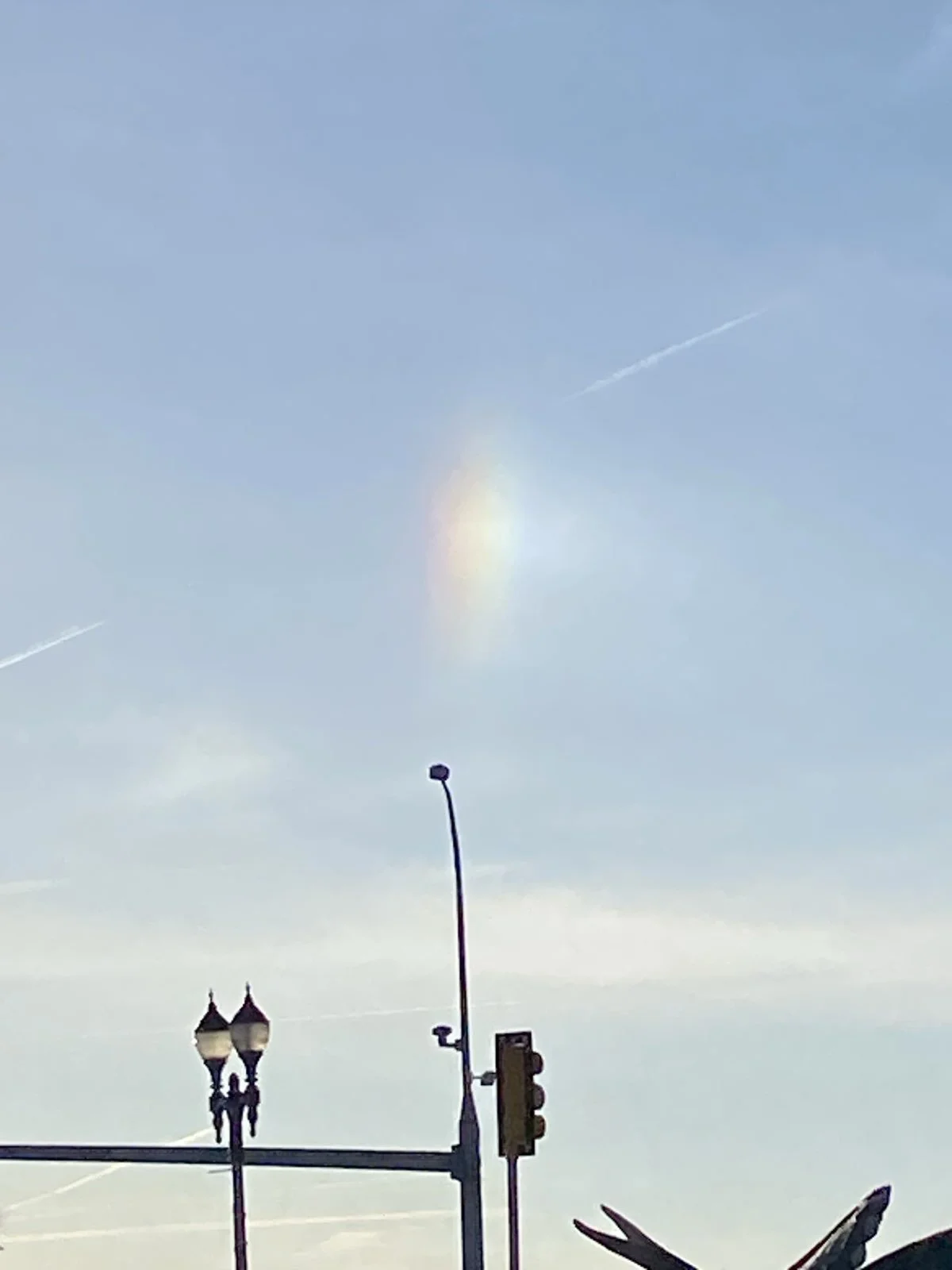 Naples, UT 2/1/2026