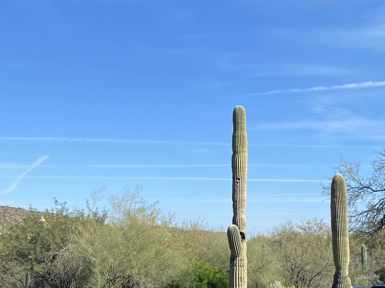 Chemtrails in Tucson, AZ 2/6/2026