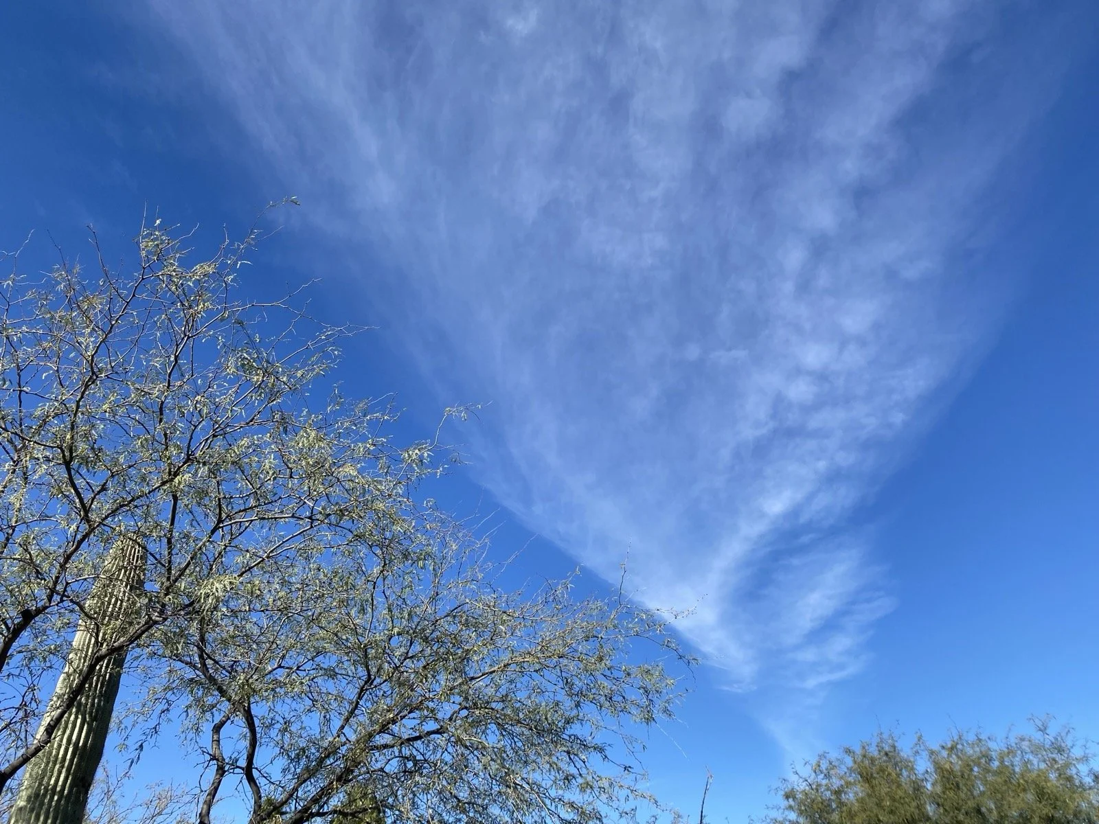 Geoengineering in Tucson, AZ 2/6/2026