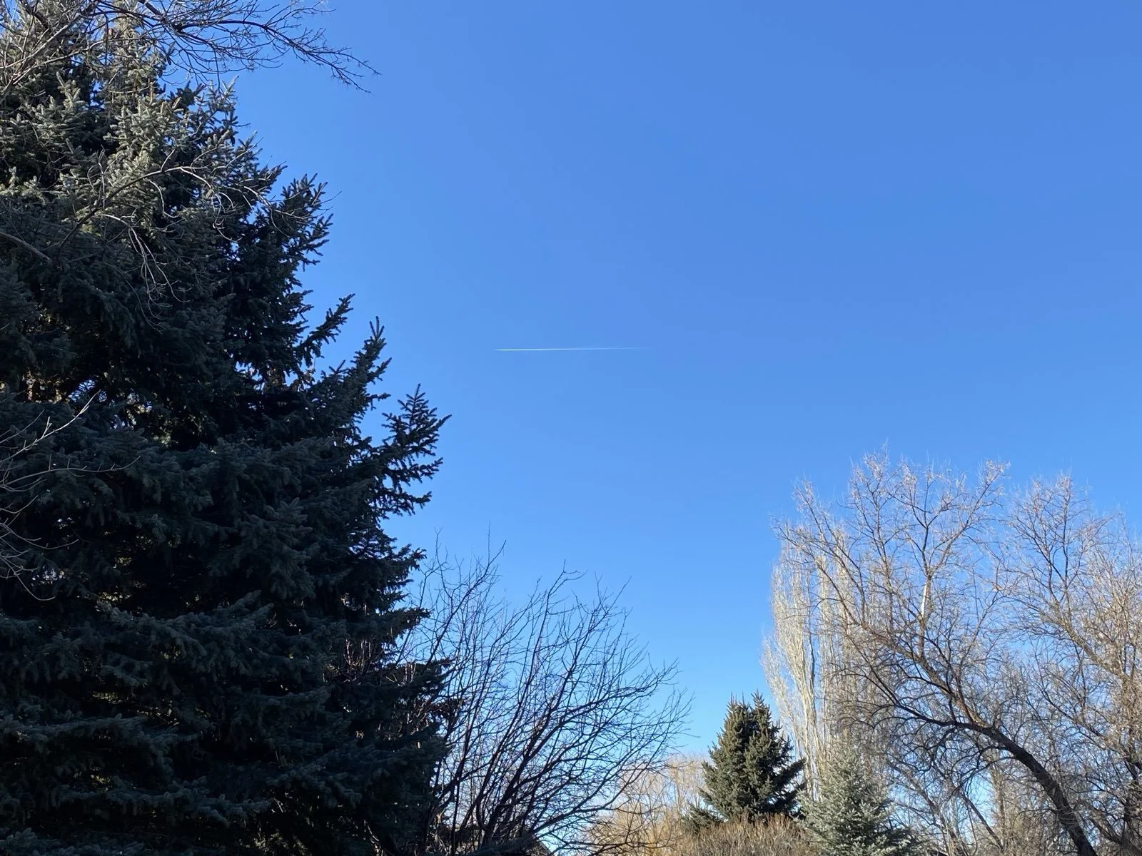 Riverton, WY 1/29/2026