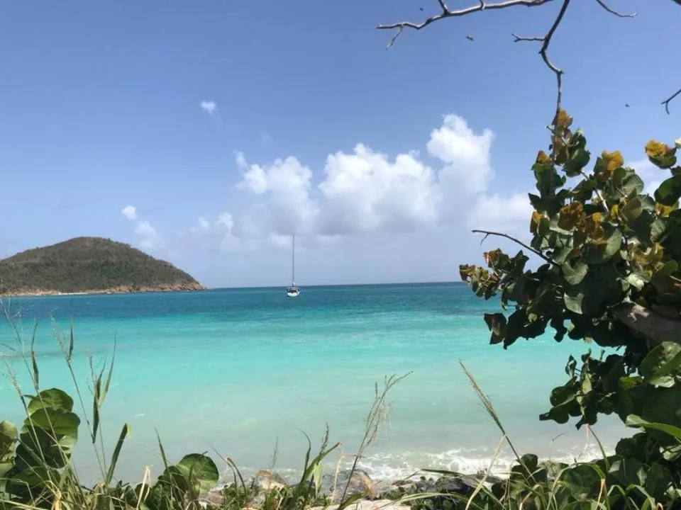 LAURA STRICKLING | Hurricanes Irma and Maria