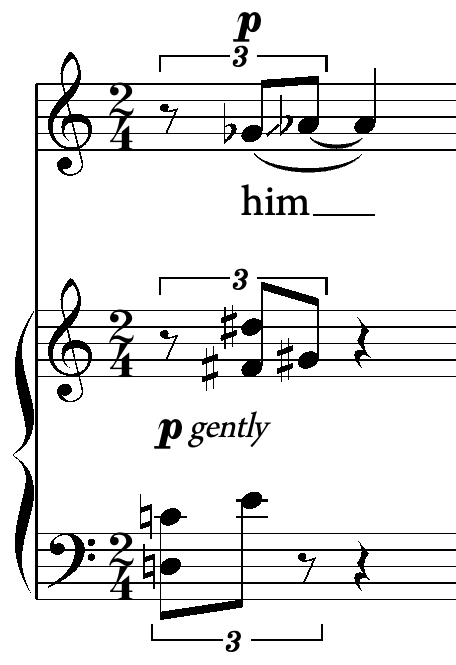 Ex. 5 his/him