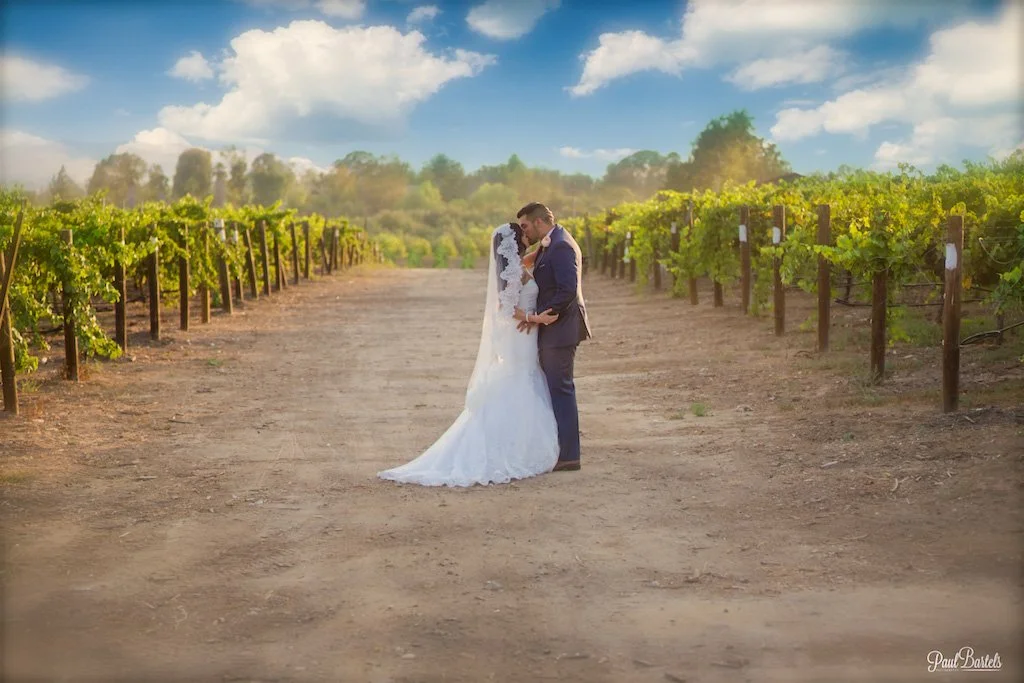 Bride and groom kissing in the vineyard in Temecula 