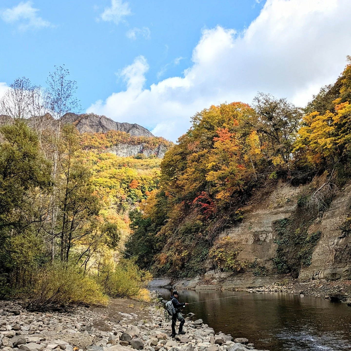 A beautiful October day on a Sapporo stream with the beautiful 😉 @midge.31 

#flyfishing
#wildtrout 
#Hokkaido
#Sapporo

#北海道
#札幌
#ニジマス
#トラウト