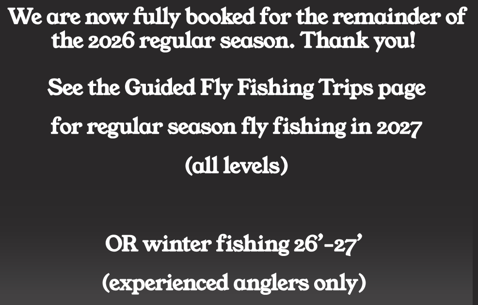 Text on a black background announcing the booking of guided fly fishing trips for the 2026 season and upcoming winter fishing dates in December for experienced anglers.