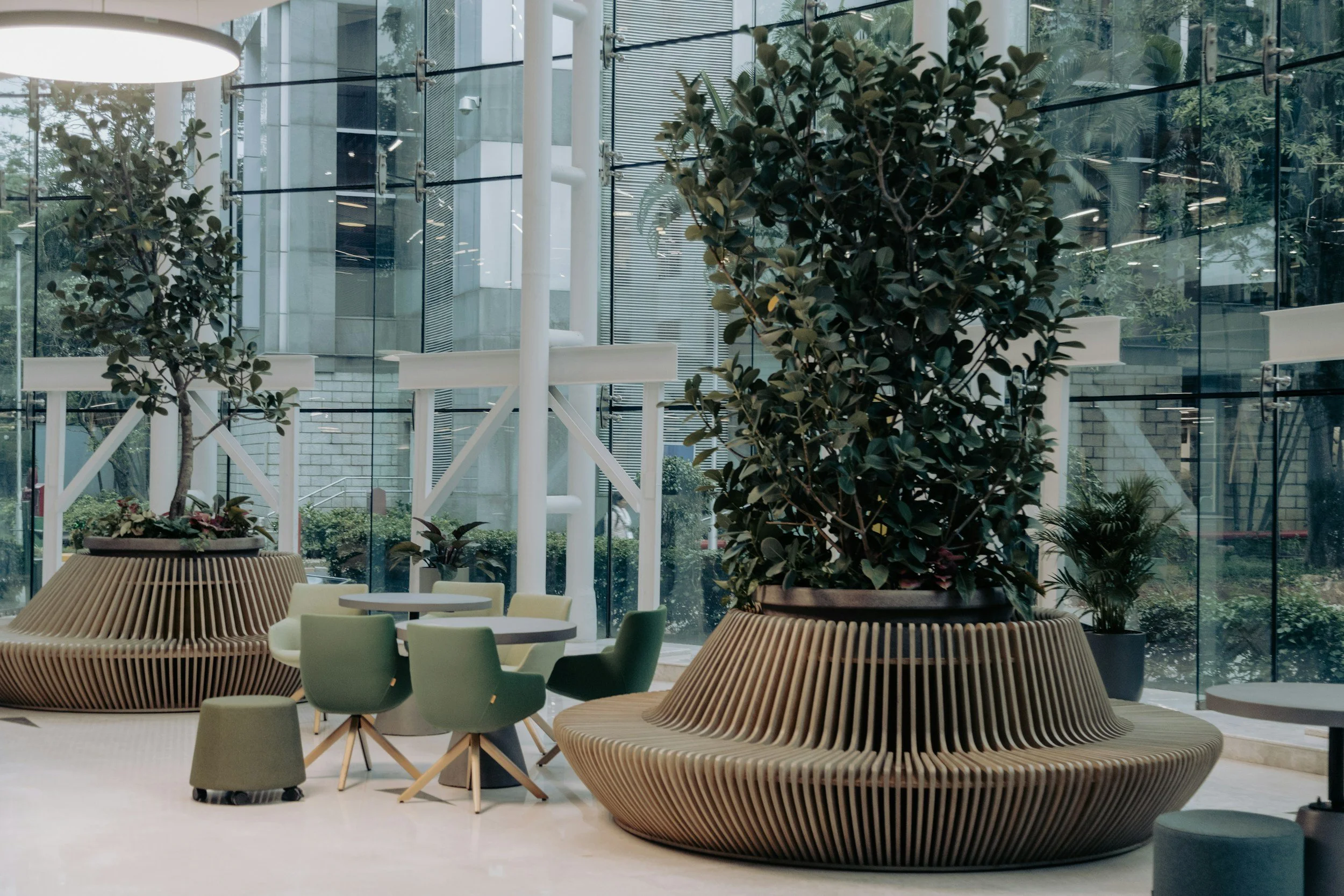 How Plants Transform a Workplace: Boosting Mood, Productivity, and Professional Image