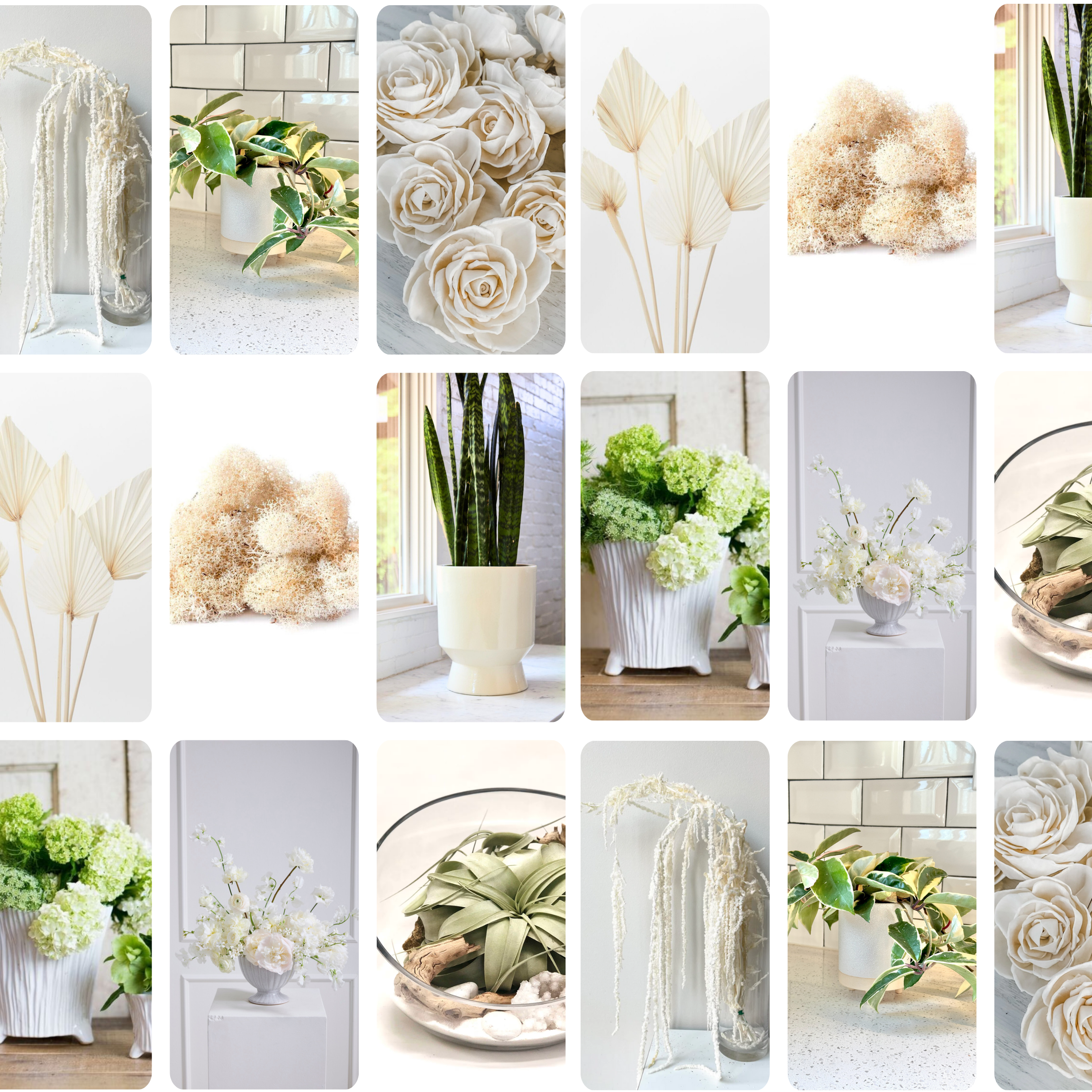 Pantone Color of the Year 2026: White, Biophilia, and the Power of Quiet Design