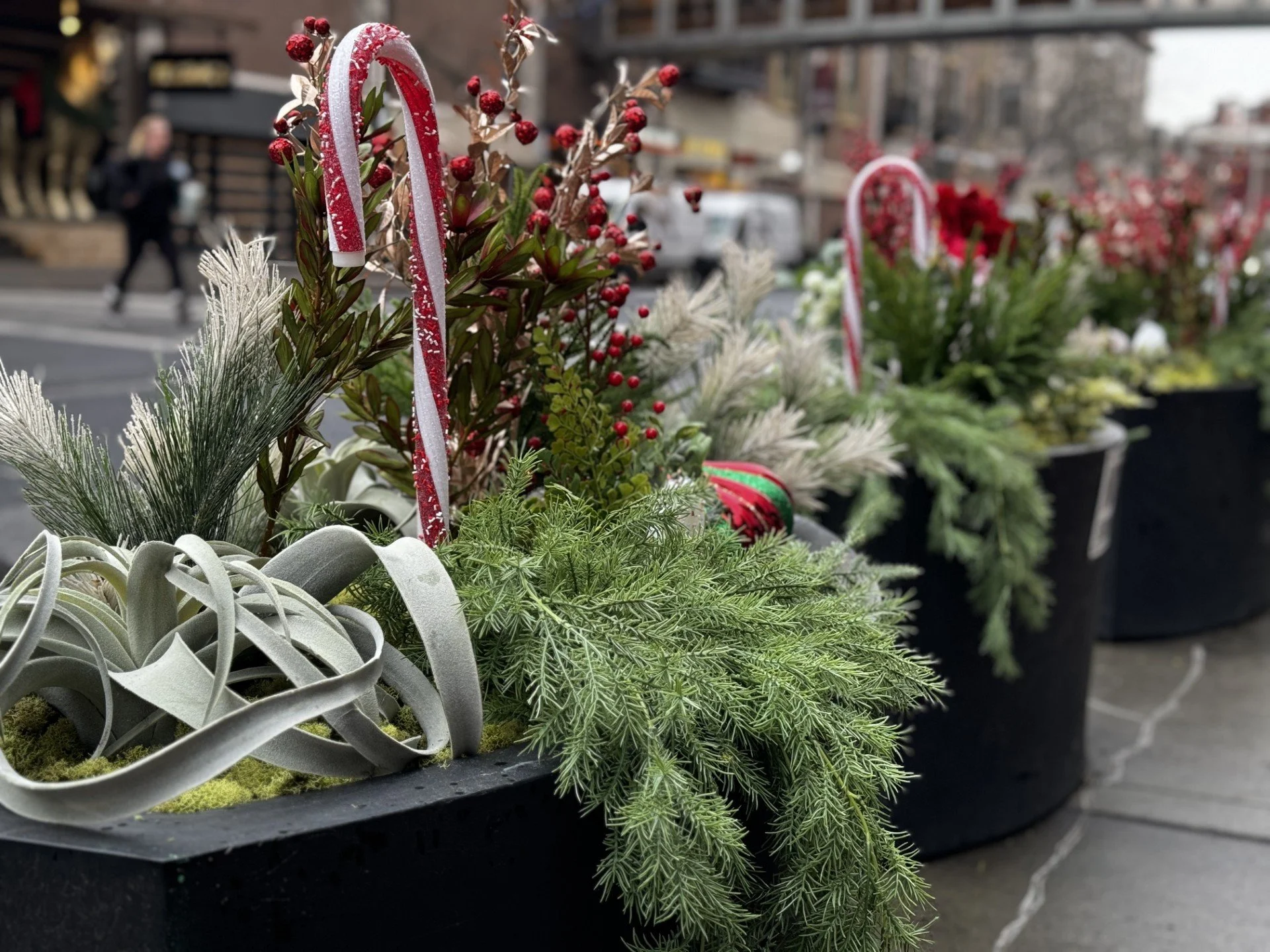 Five black planters in a downtown area filled with red and white holiday decorations consisting of faux candy canes, red berries, and pine like greenery. 