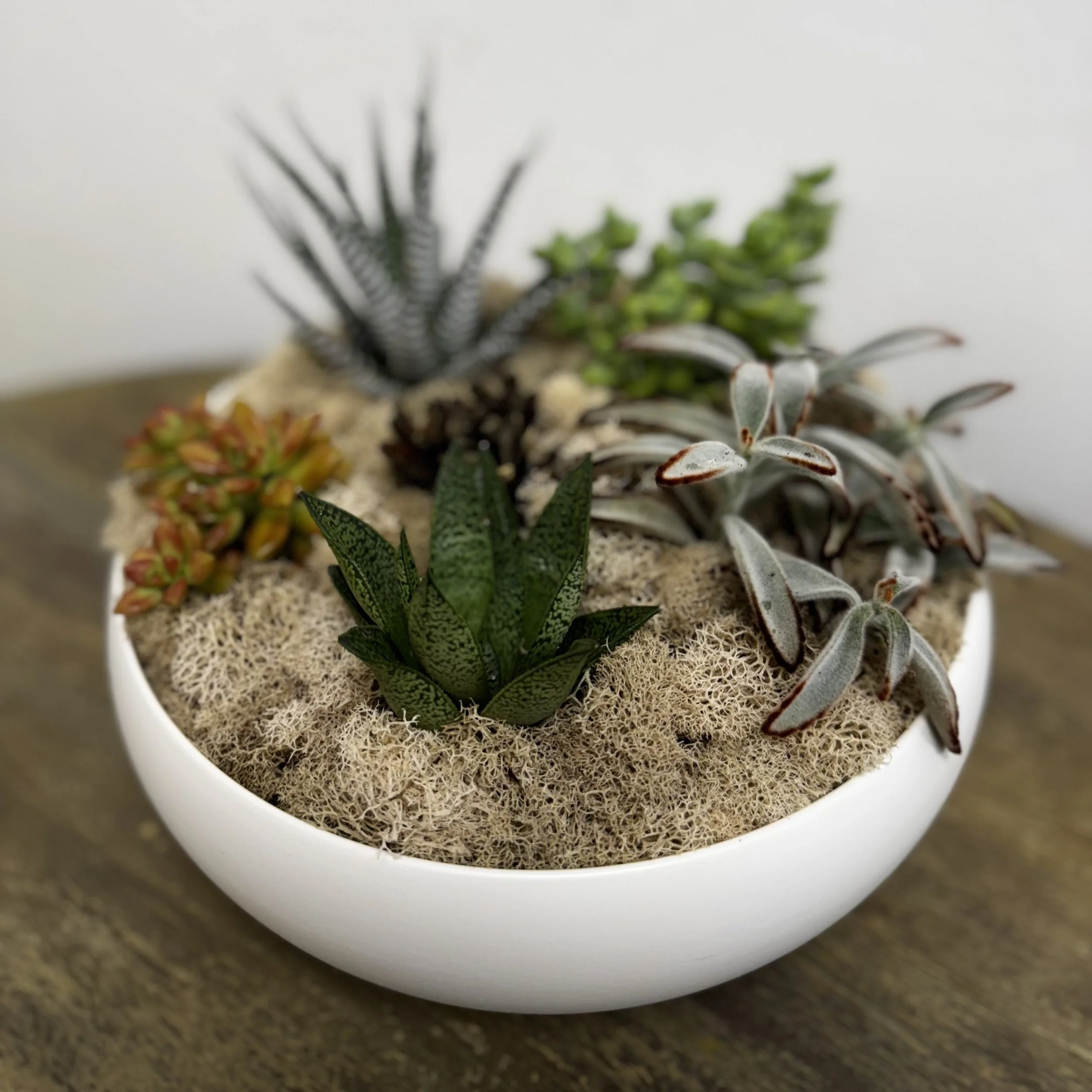 A tabletop arrangement filled with live succulents in a low white bowl on top of a wooden table.