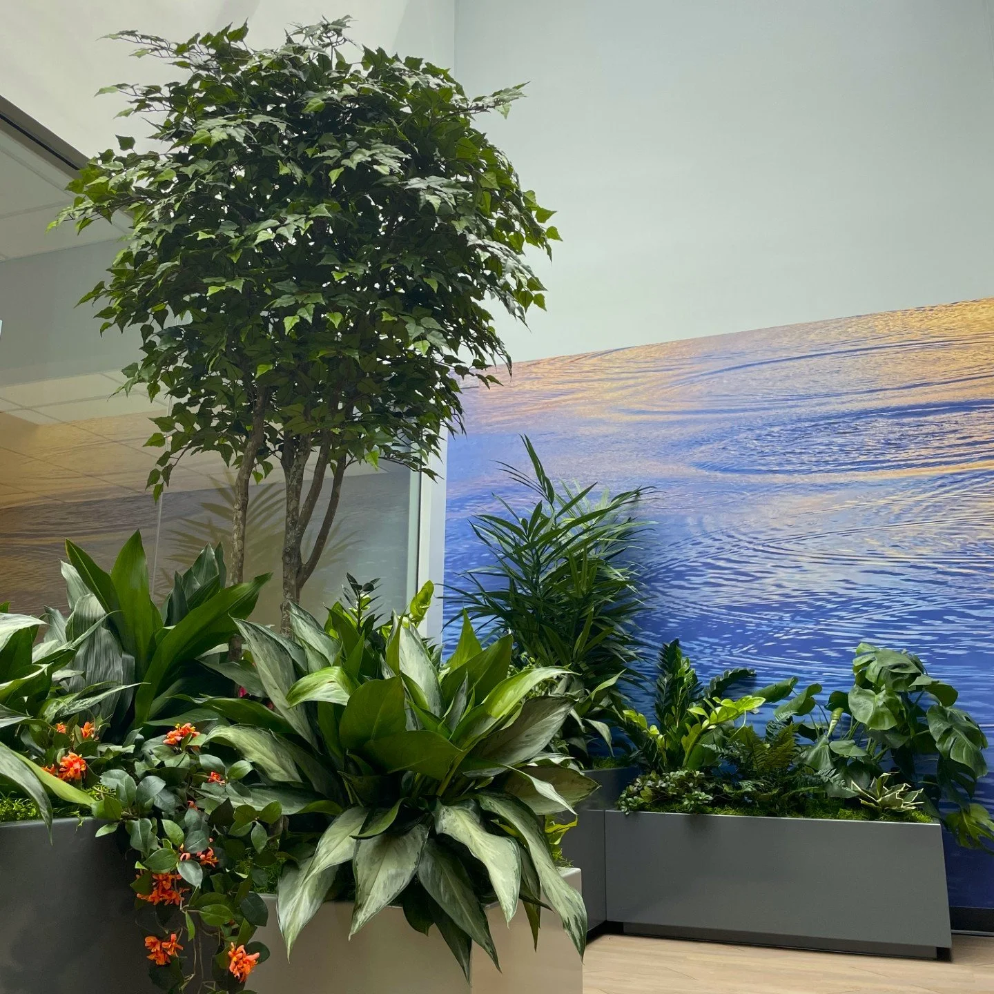 A room with faux and live trees and plants in gray planters with a tranquil water scene on the wall.