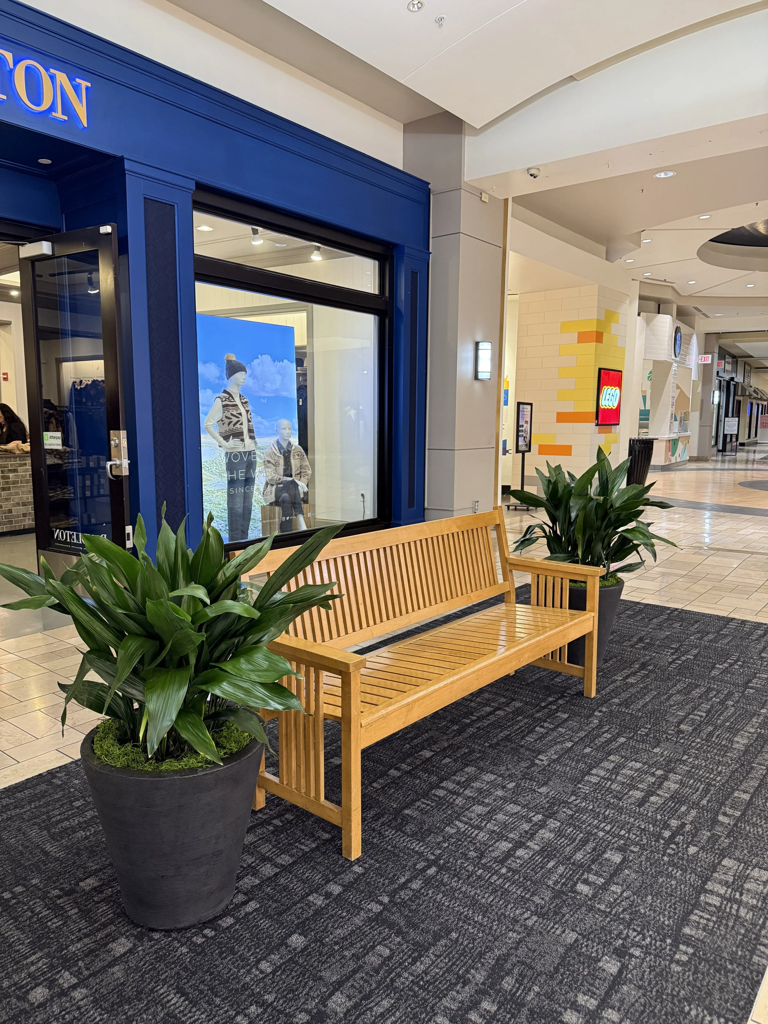 Two plants flanking a wooden bench at the mall in Spokane