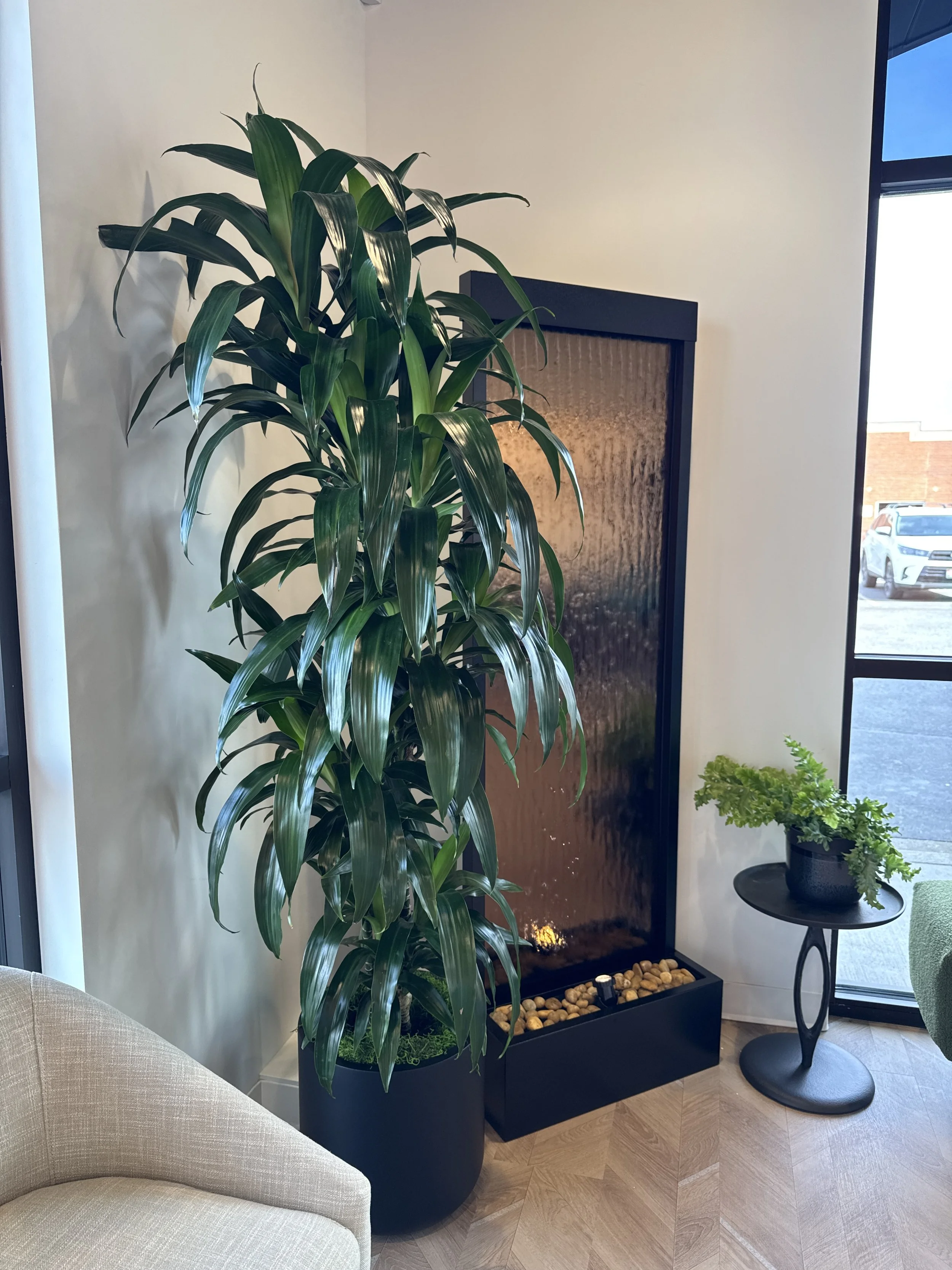 Dental Office in Post Falls plants surrounding waterfall