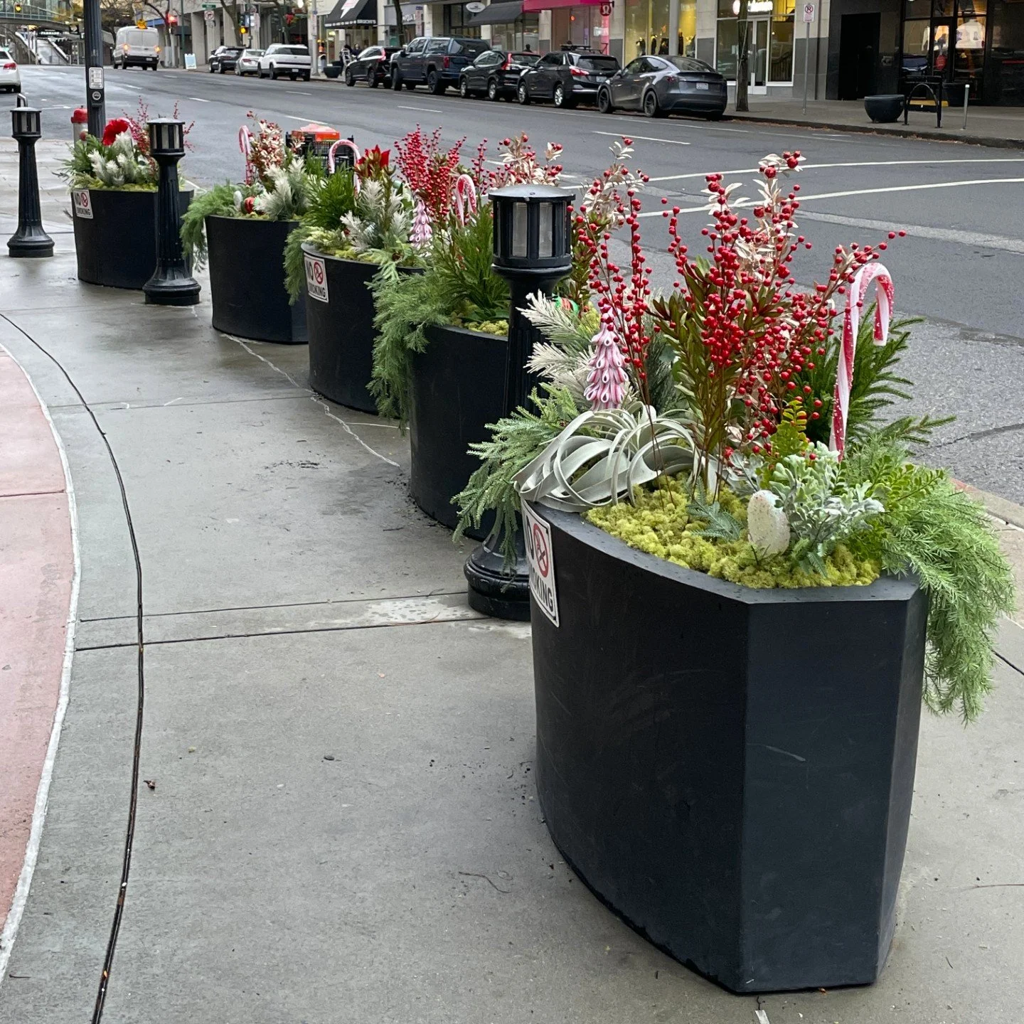 Five black planters in a downtown area filled with red and white holiday decorations consisting of faux candy canes, red berries, and pine like greenery. 