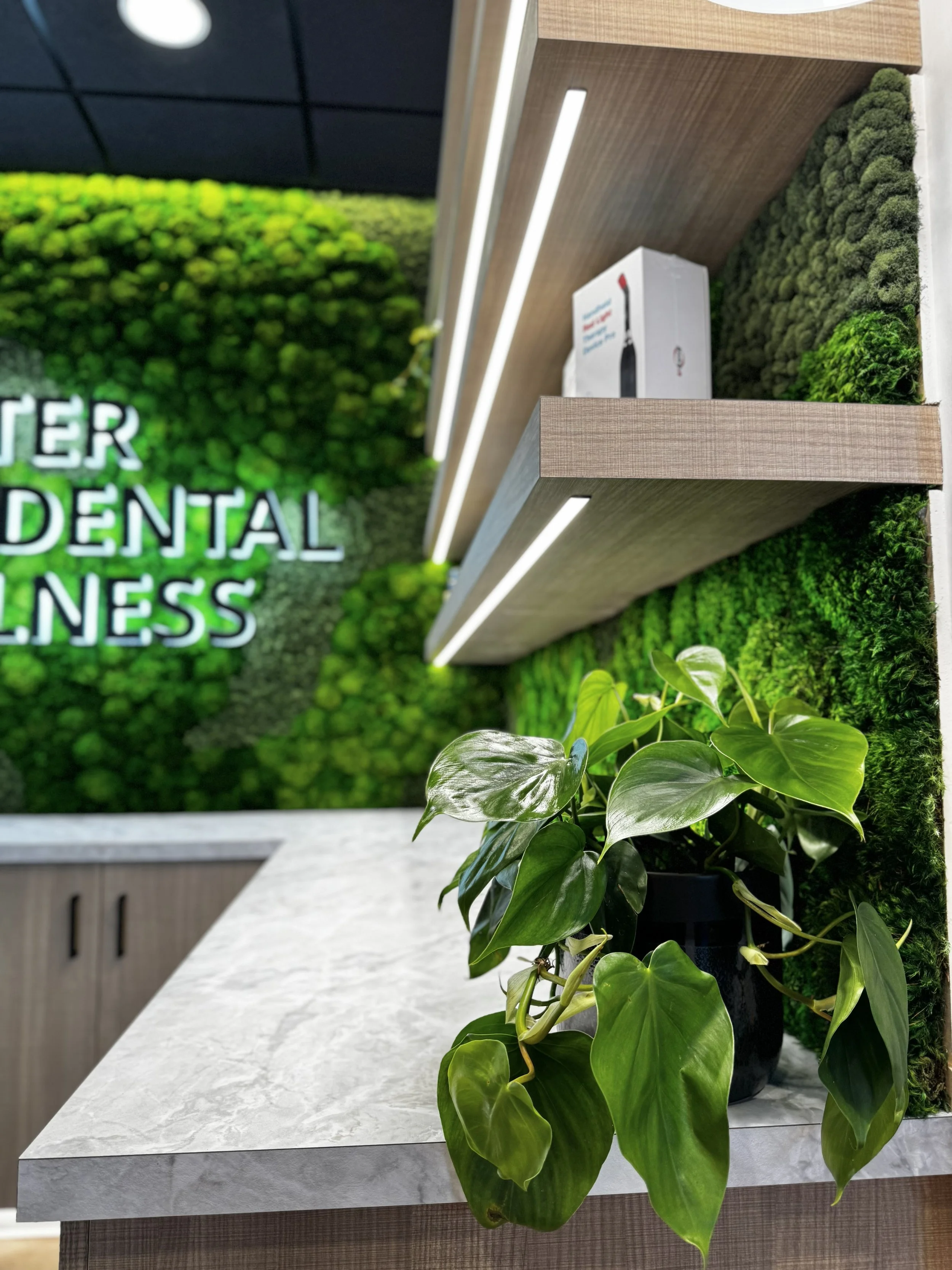 Dental Office in Post Falls Plant on counter next to moss wall