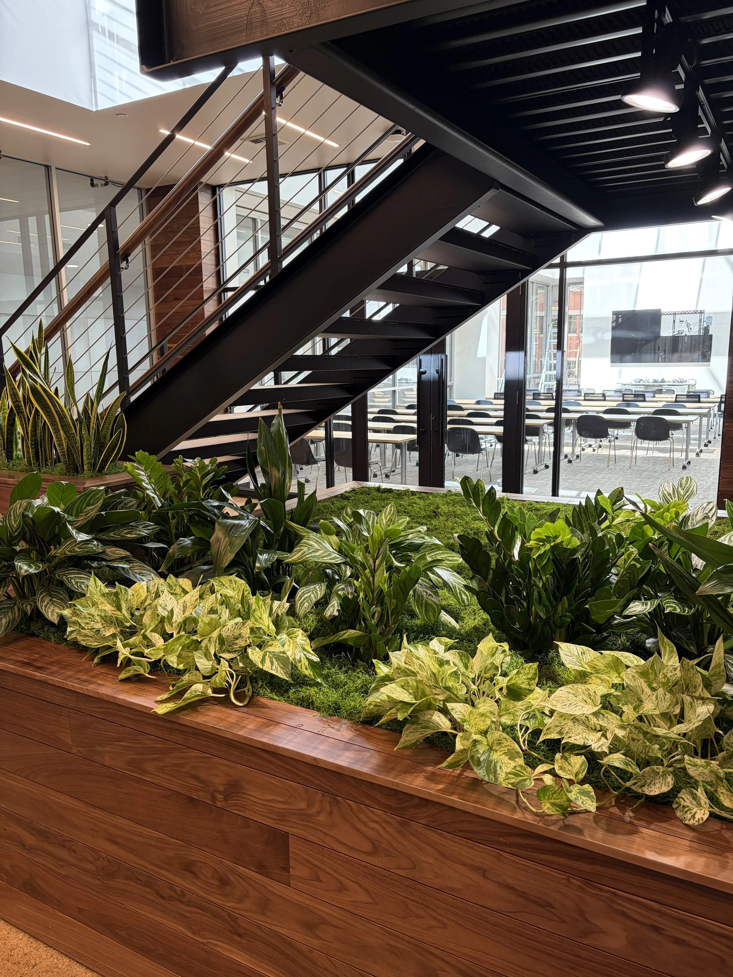 Live plants in a large planter