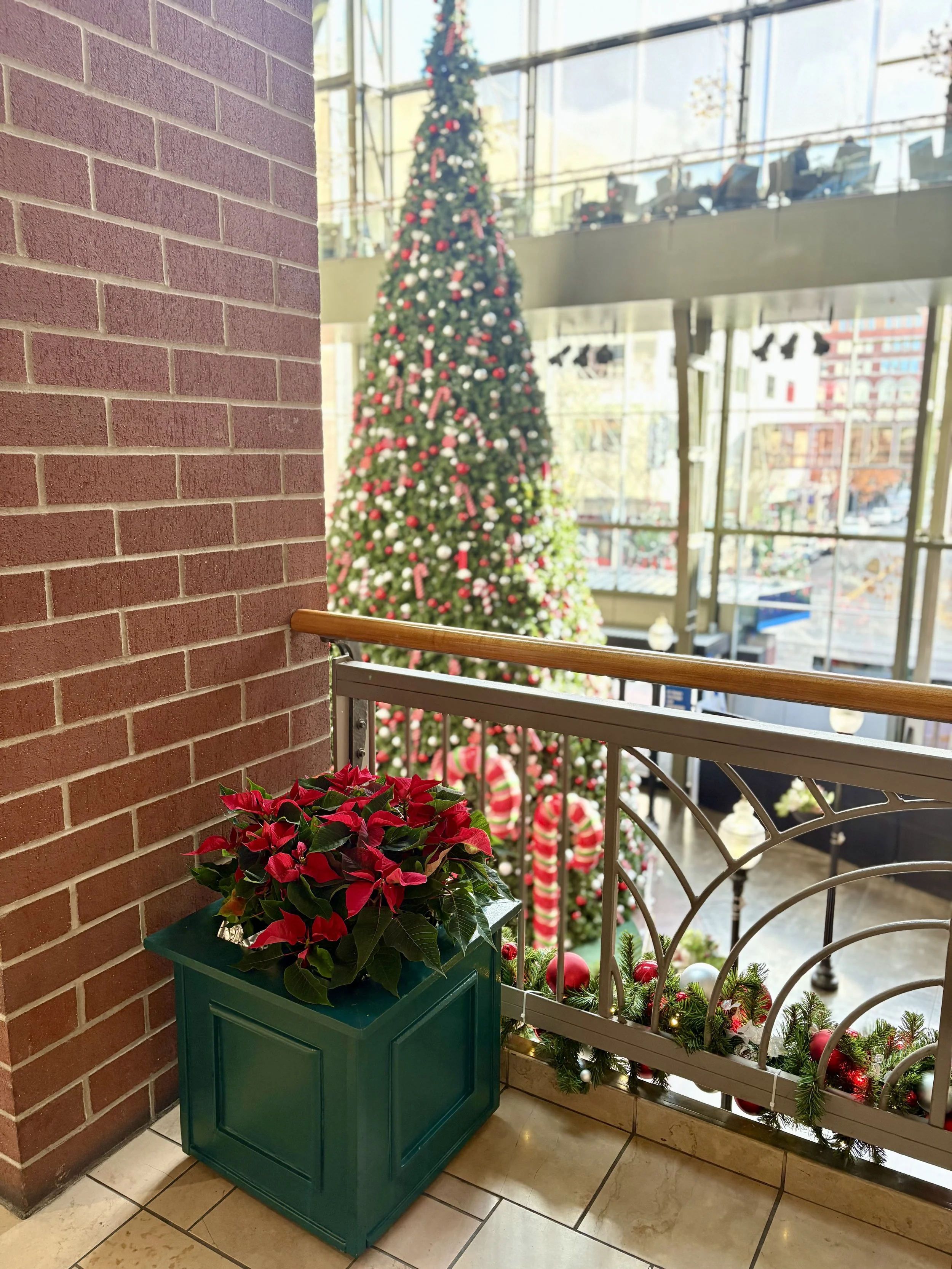Red poinsettias in a green holiday box, overlooking a giant Christmas tree in the entrance of a mall.
