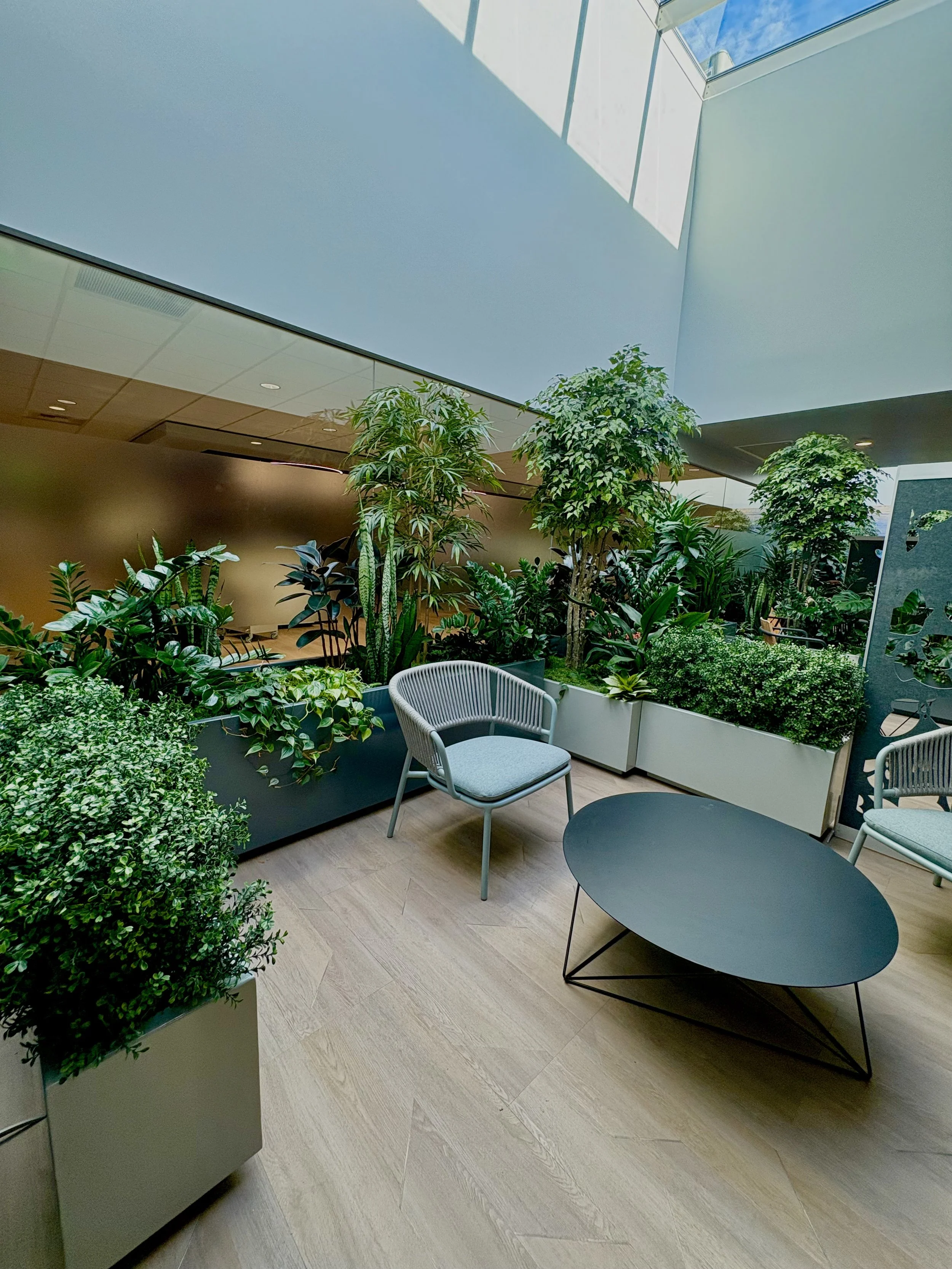 A room with faux and live trees and plants in gray planters, with gray seating, and a black coffee table. 