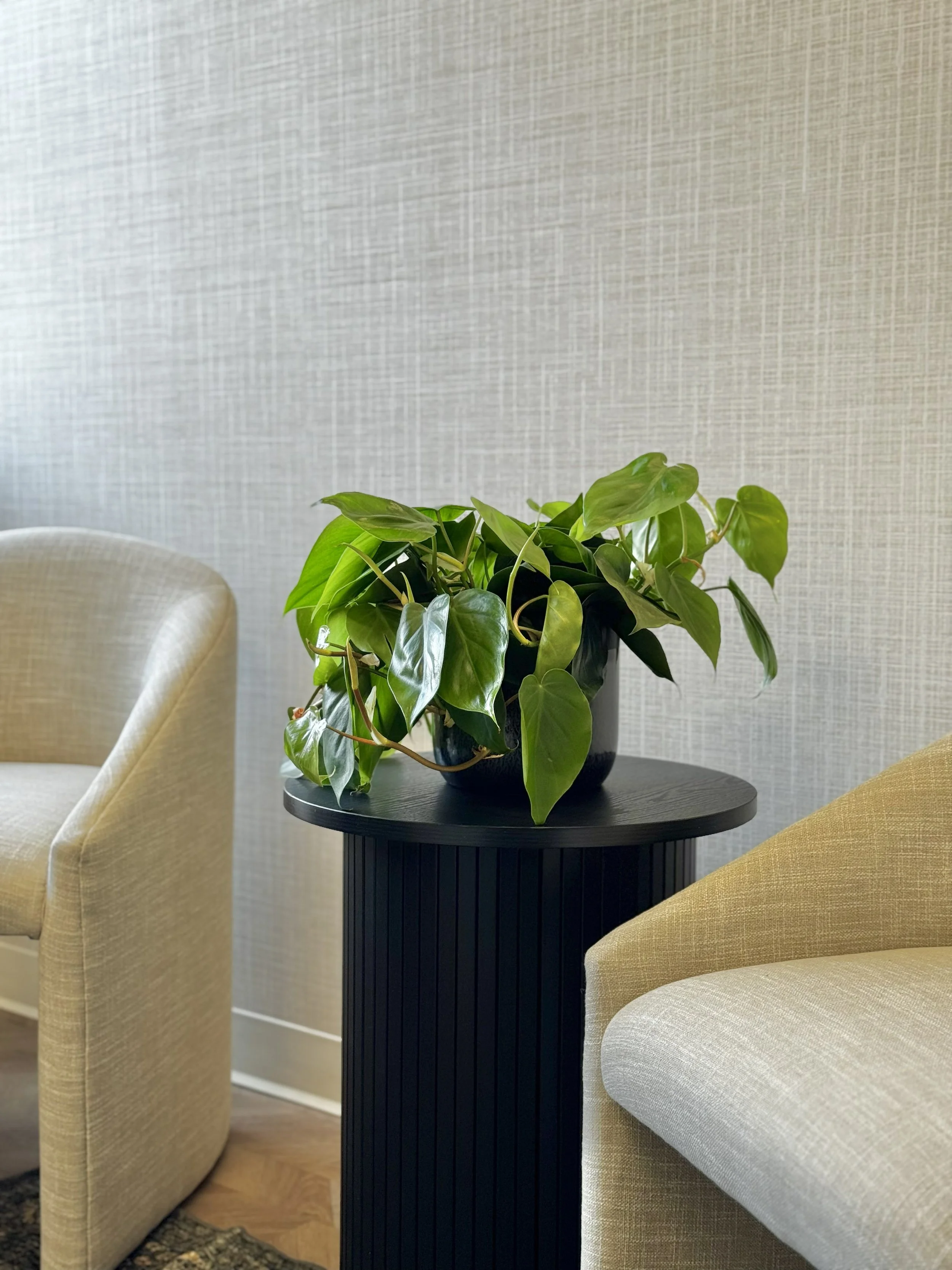Dental Office in Post Falls plant on end table next to chair