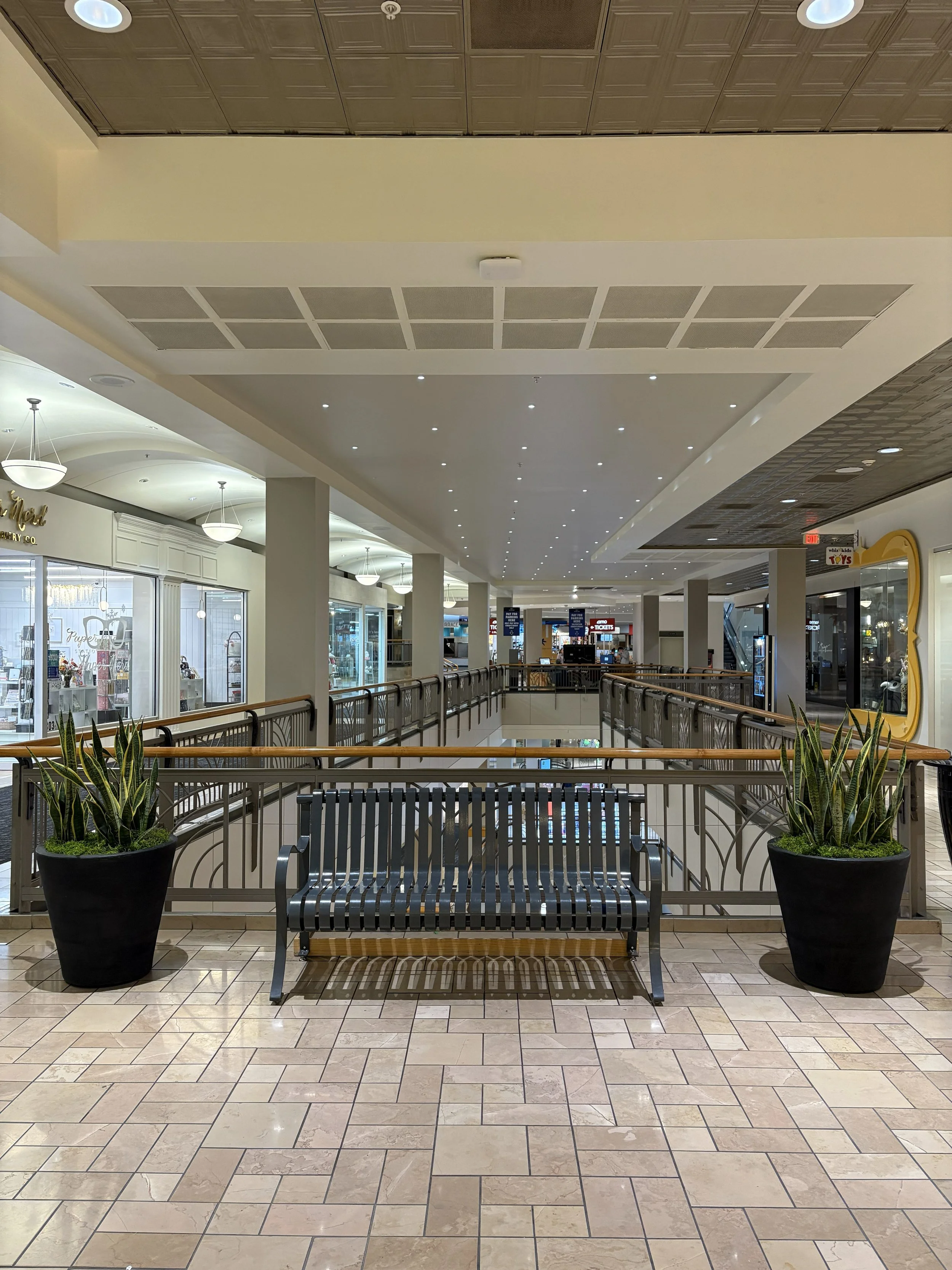 Two plants flanking a metal bench at the mall in Spokane