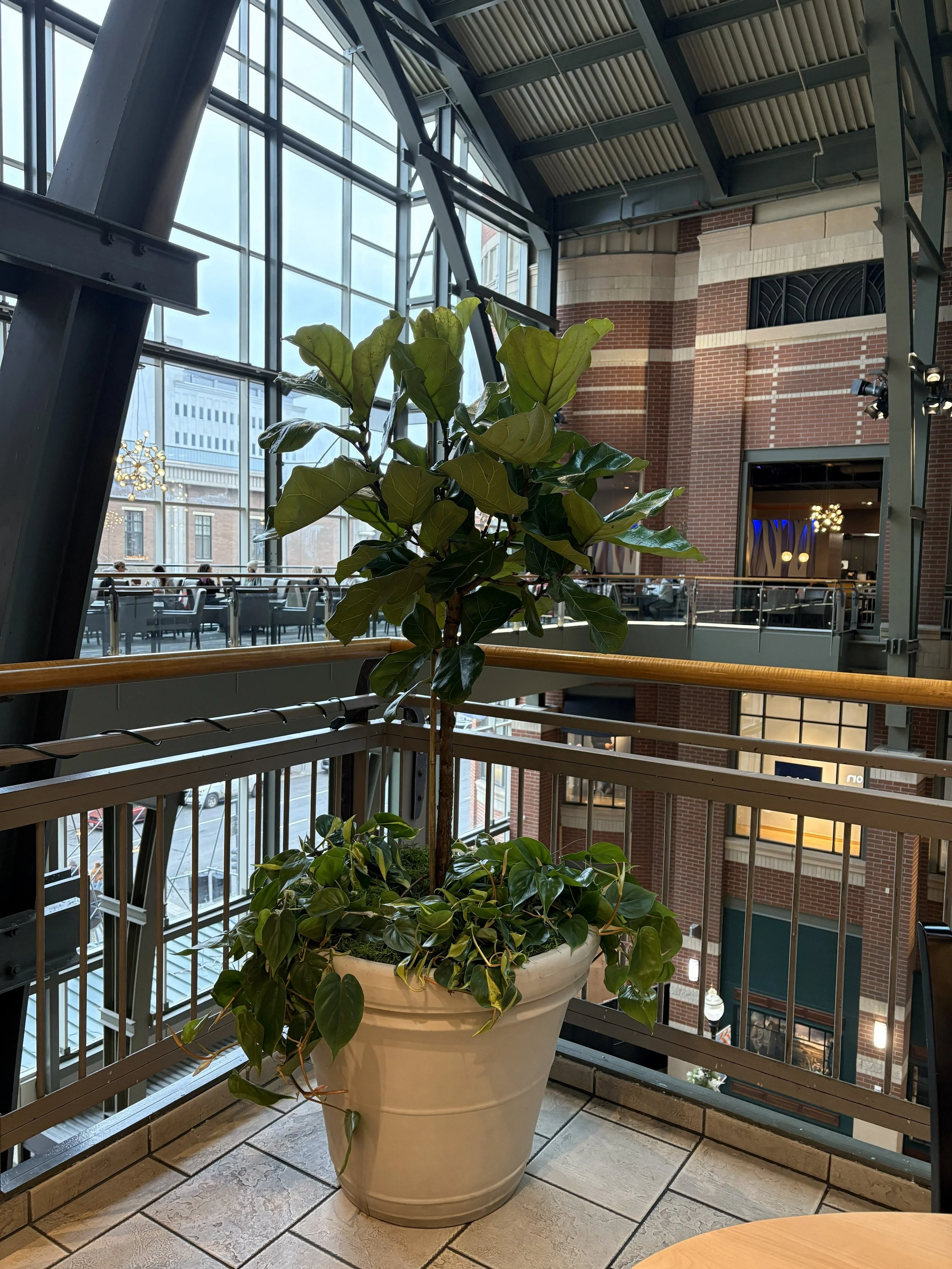 Multi plant arrangement in an off while planter at the mall in Spokane