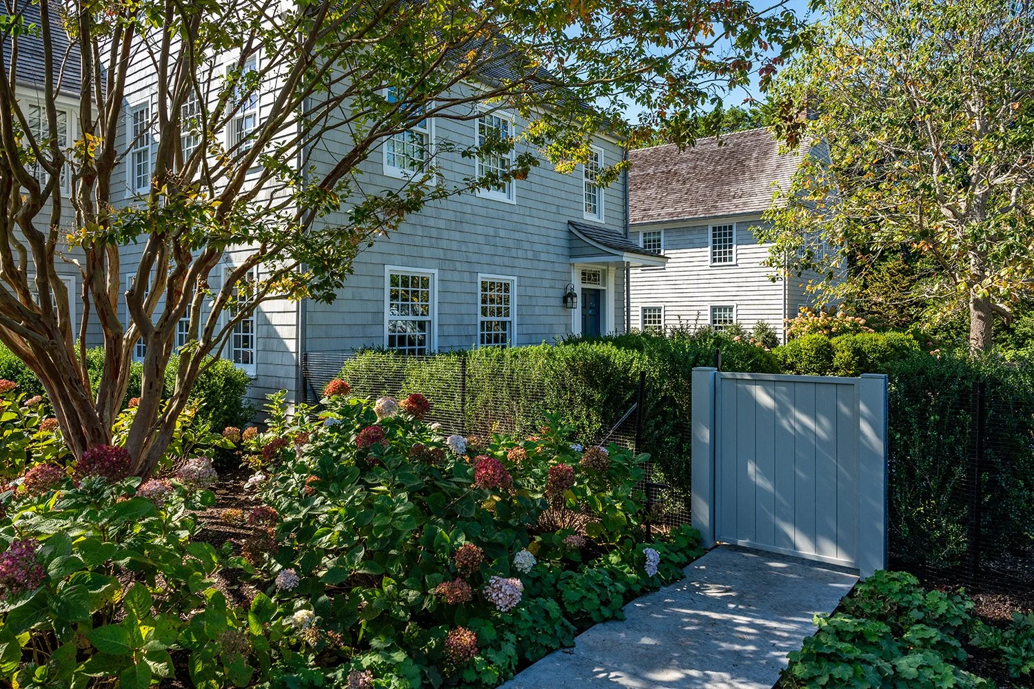A garden path leading to a white door of a grey house, surrounded by green shrubs and a flowering bush with pink and white flowers. There is a white gate and trees casting shadows.