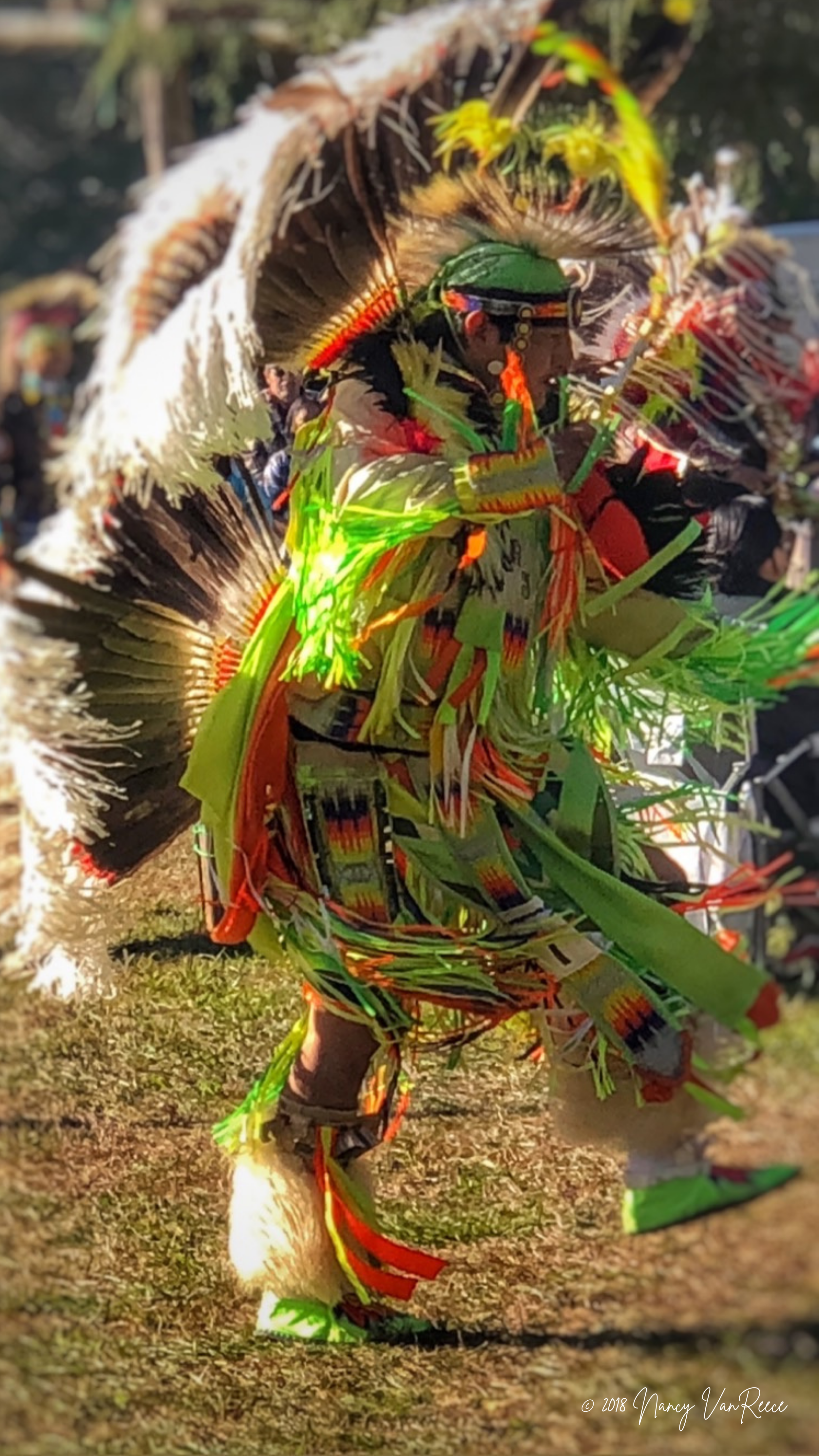 Pow Wow, Mt. Juliet, TN