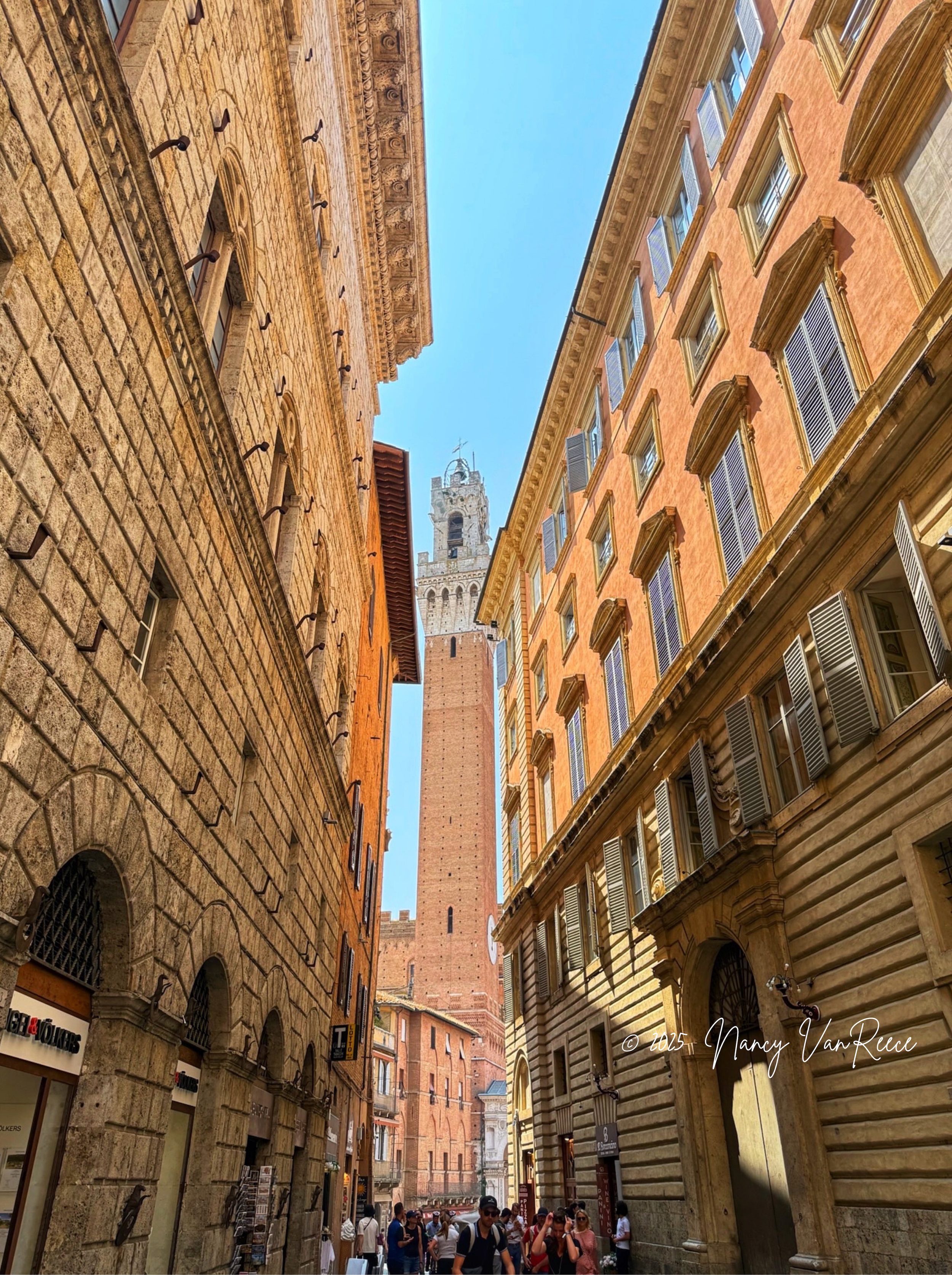Siena in June