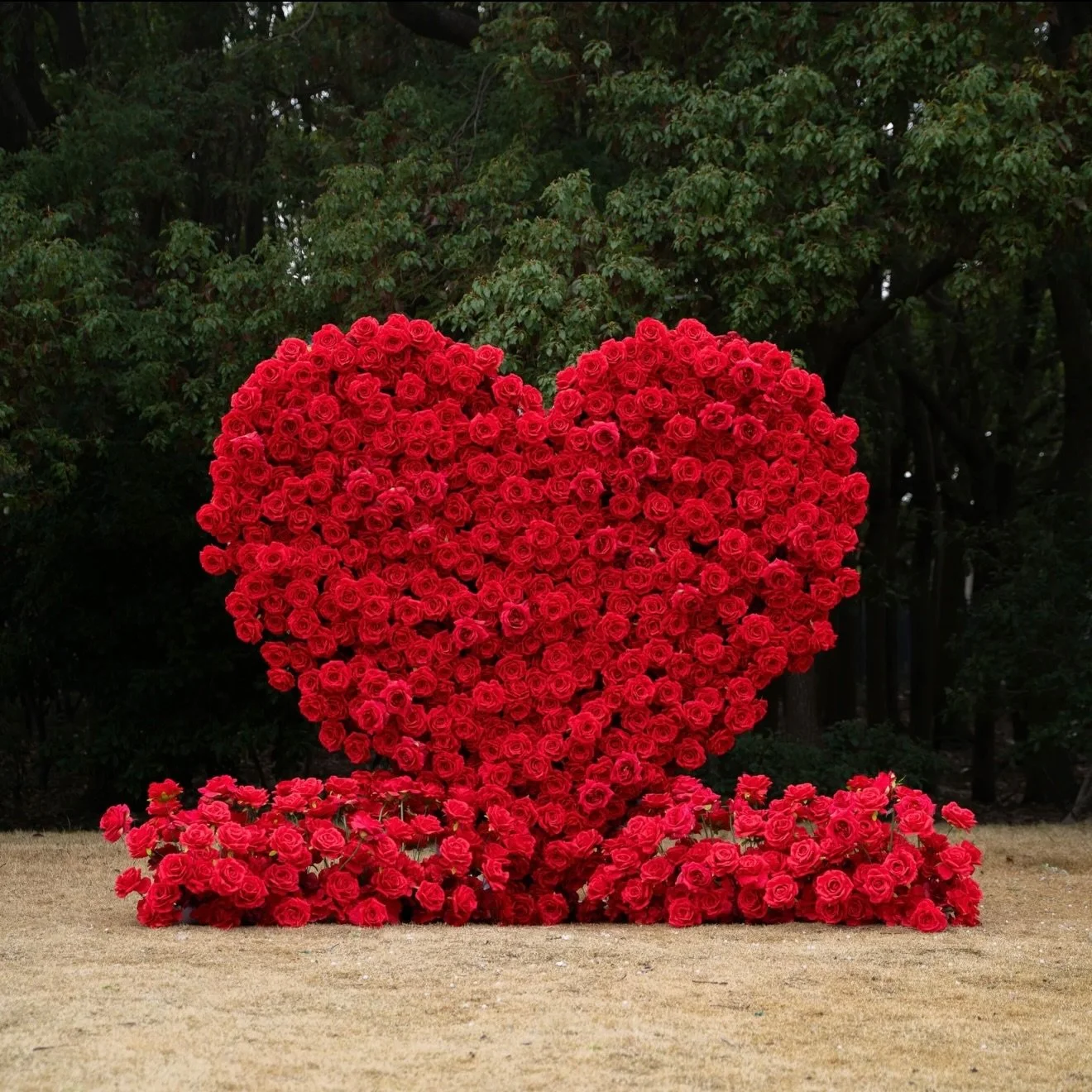 🌹Just in time for the month of love🌹
Introducing our newest floral addition&mdash;JOY: a red heart flower wall, perfect for February proposals, engagements, and love-filled celebrations. This wall is the ultimate statement piece! Perfect for couple