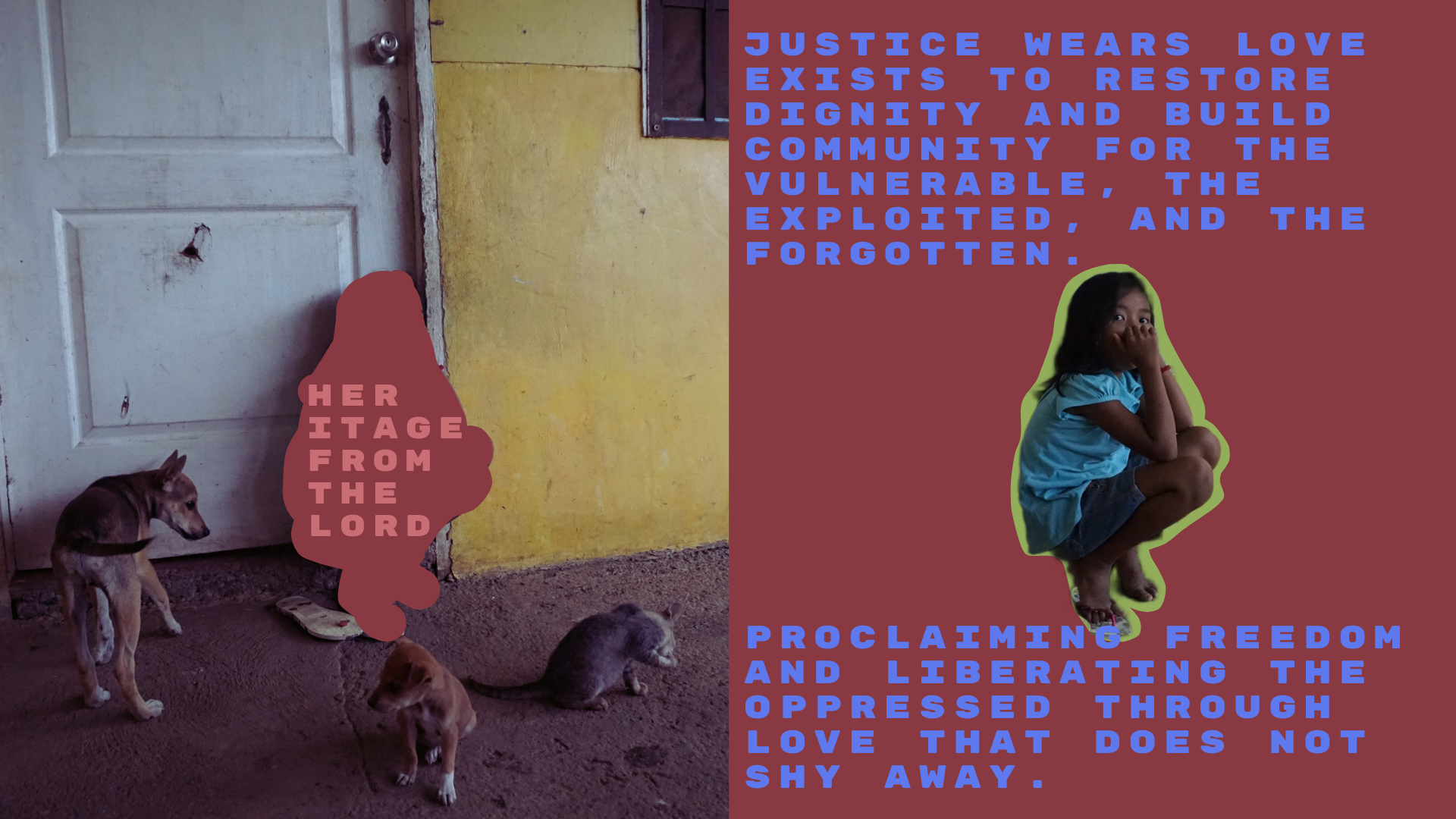 Photo of several dogs standing and sitting on a dirt floor in front of a worn doorway and yellow wall, with a girl crouching to the right, wearing a blue shirt and shorts, surrounded by colored text overlays and graphics.