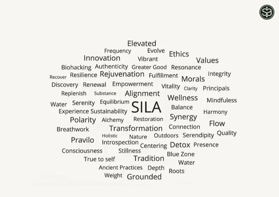 A word cloud featuring terms related to wellness, transformation, and authenticity, with prominent words including SILA, Transformation, Grounded, and Balance.