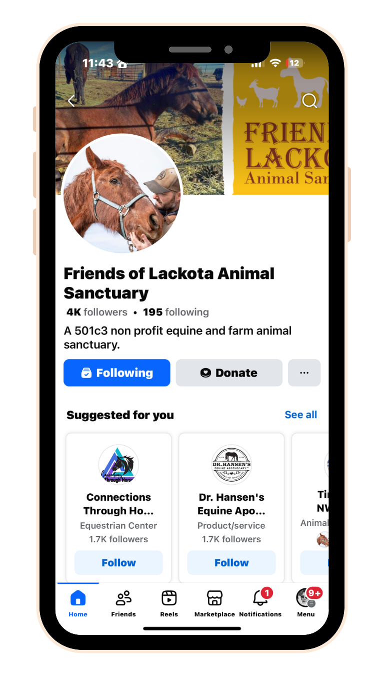 Lackota's Animal Sanctuary Facebook