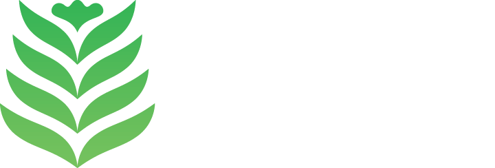 Kaizen Aesthetics