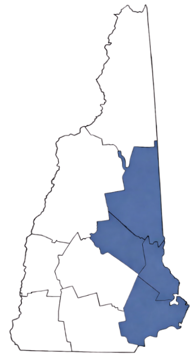 A stylized map of Israel with different regions shaded in various colors, including blue and maroon.