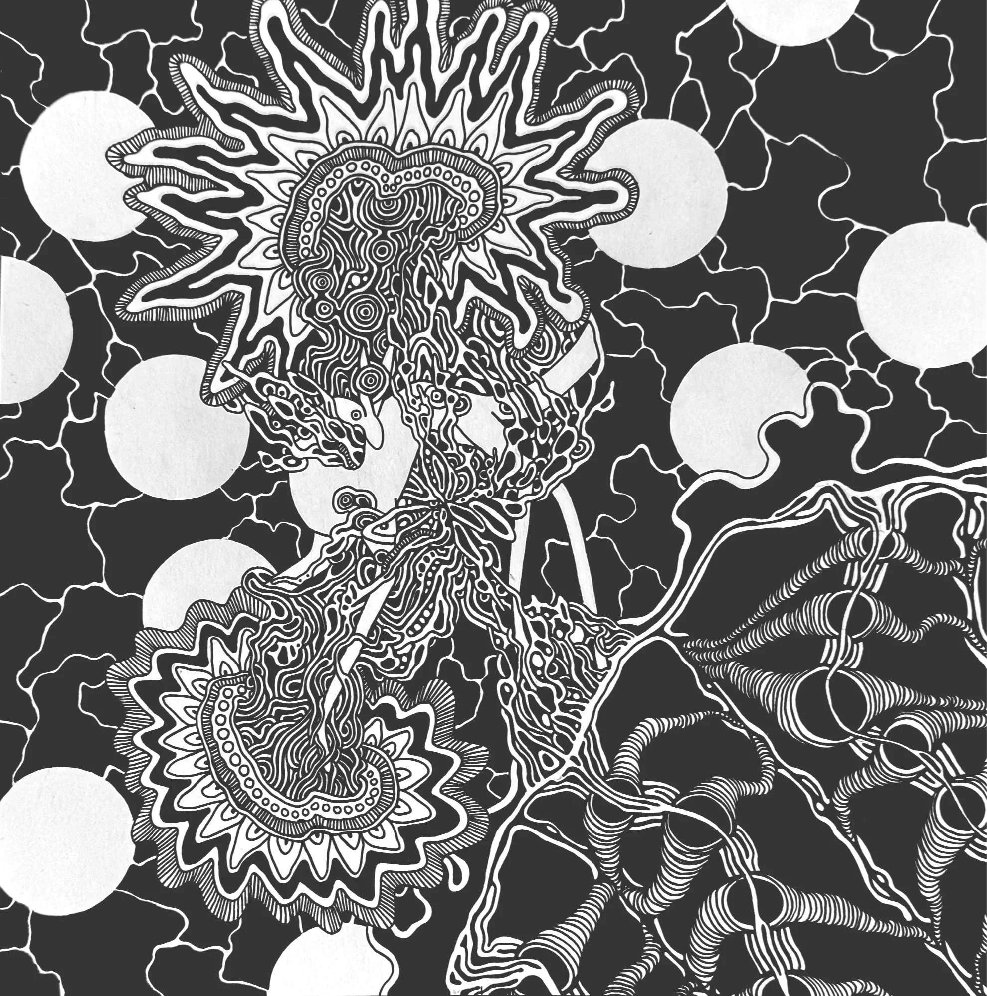 8 x 8 December 31, 2025