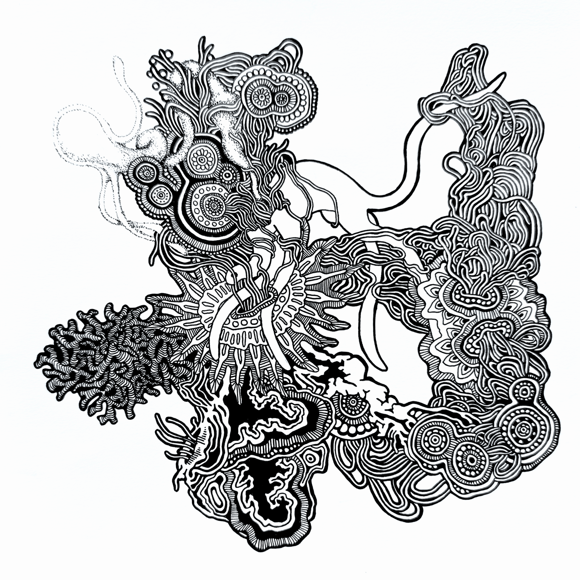 8 x 8 march 27, 2026