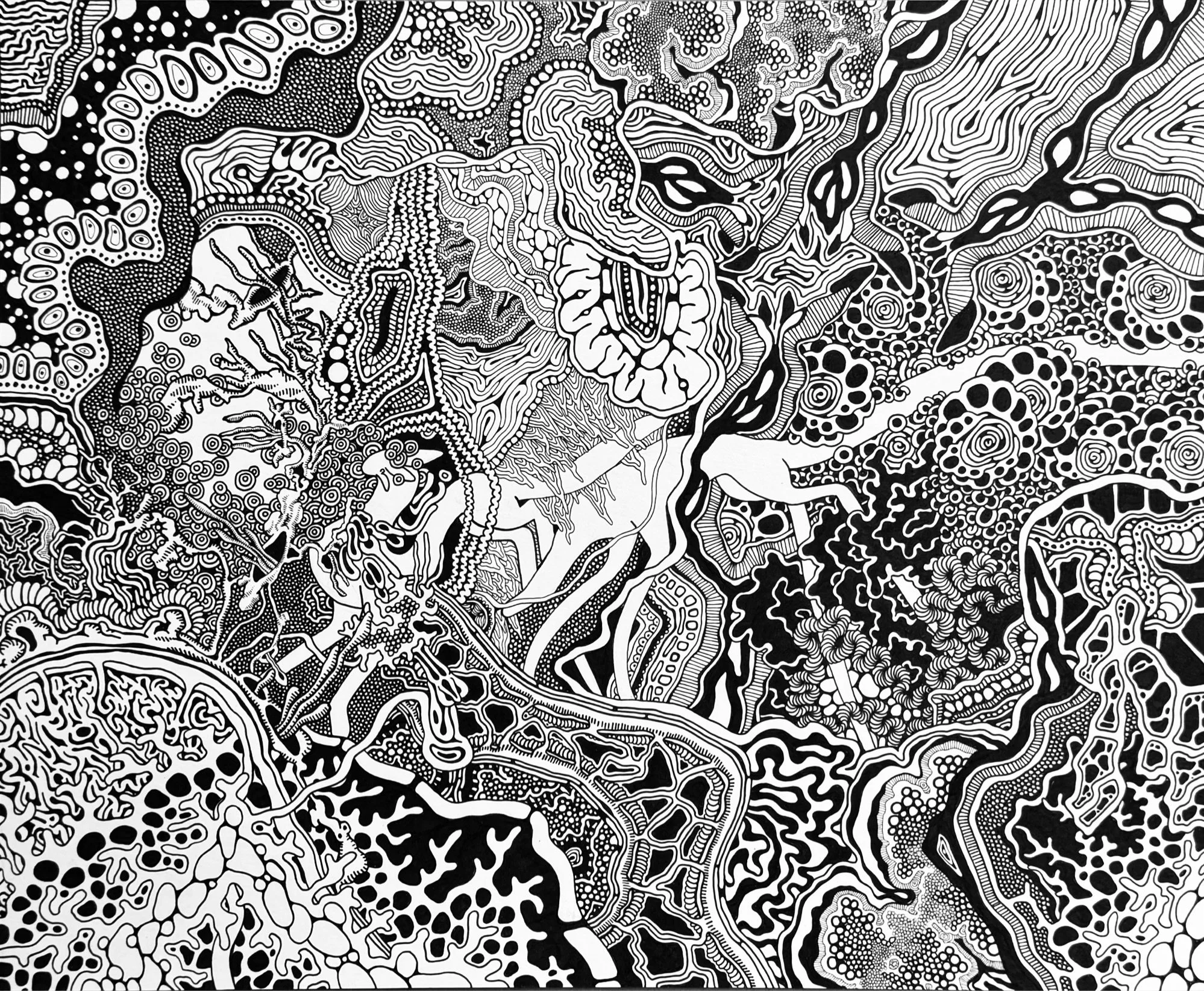 17 x 14
