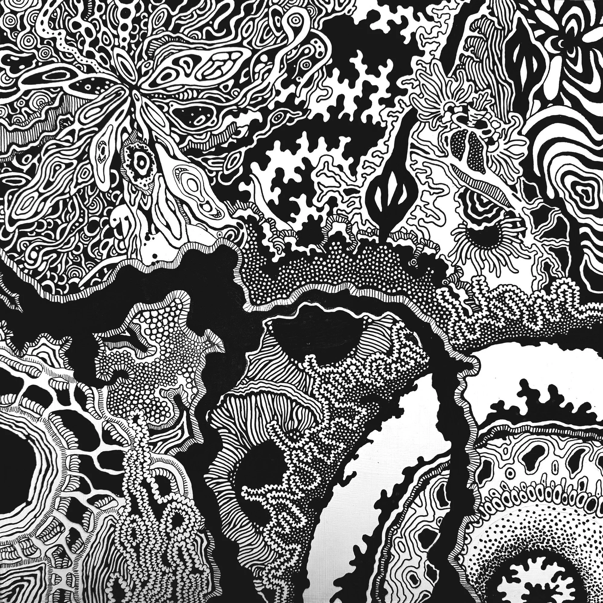 Black and white abstract illustration featuring intricate, swirling patterns, organic shapes, and detailed linework reminiscent of natural forms like leaves or coral.