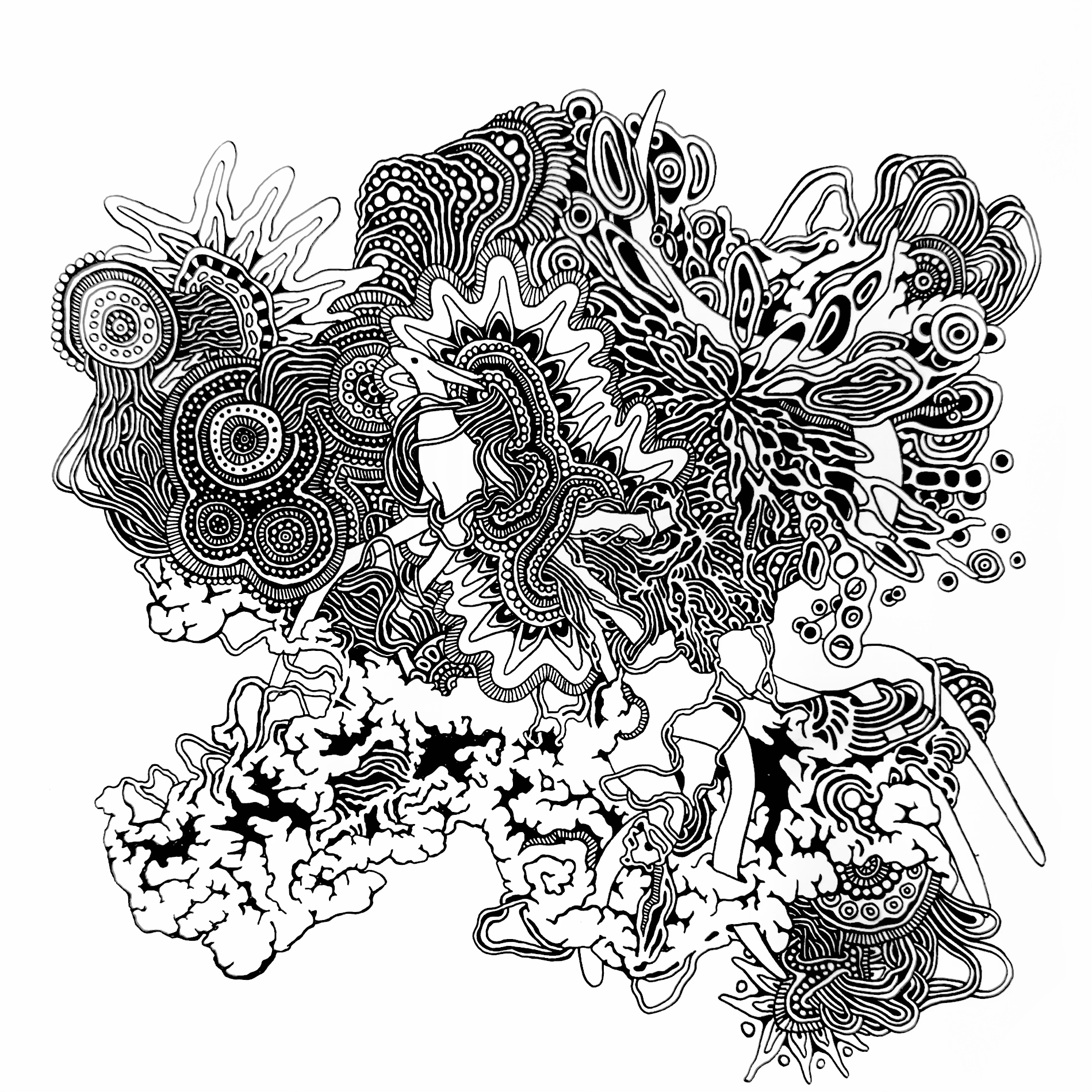 8 x 8 March 25 ,2026