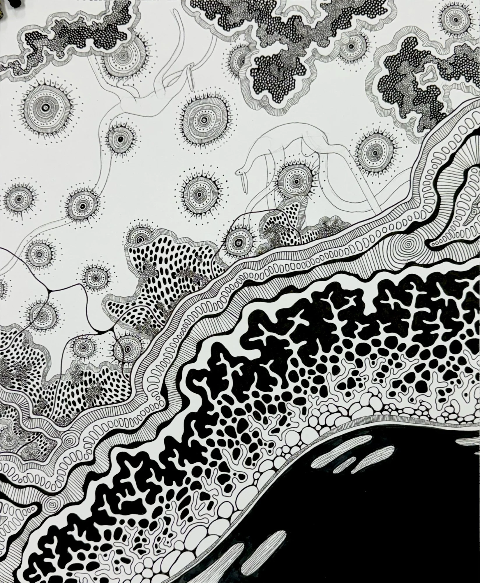 14 x 17