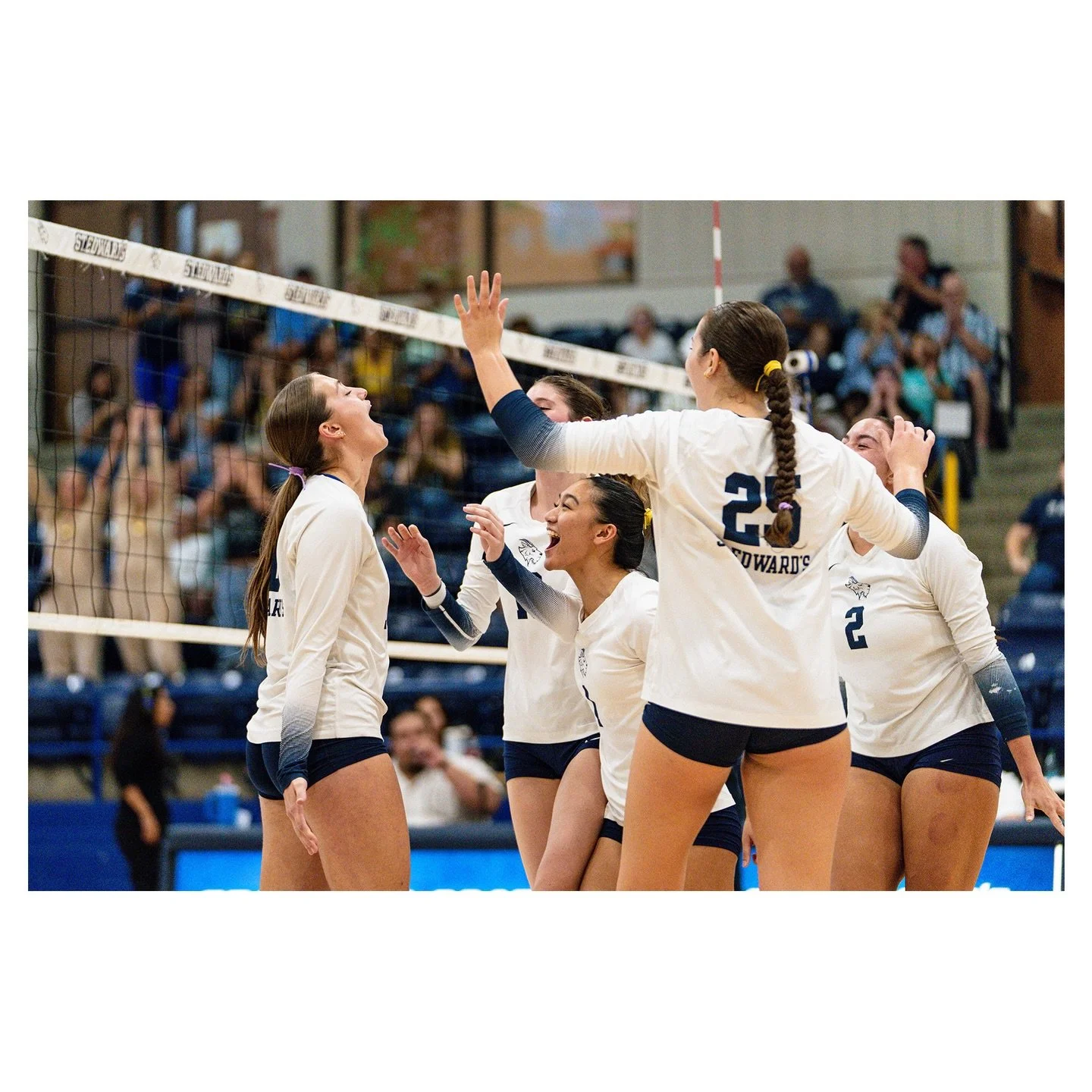 Volleyween‼️

#photography #steds