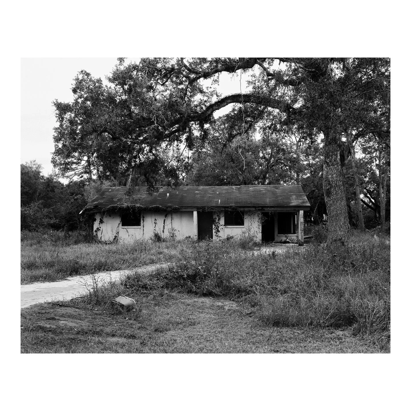 &ldquo;The Long Run&rdquo; - a 4x5 project.