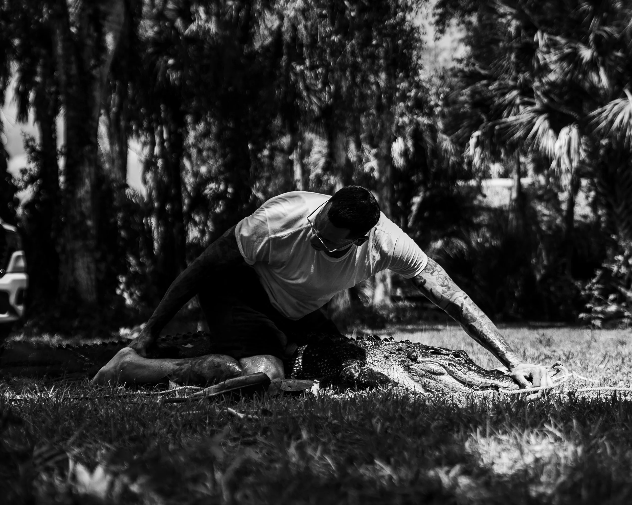 Gator 6-11-25-47.jpg