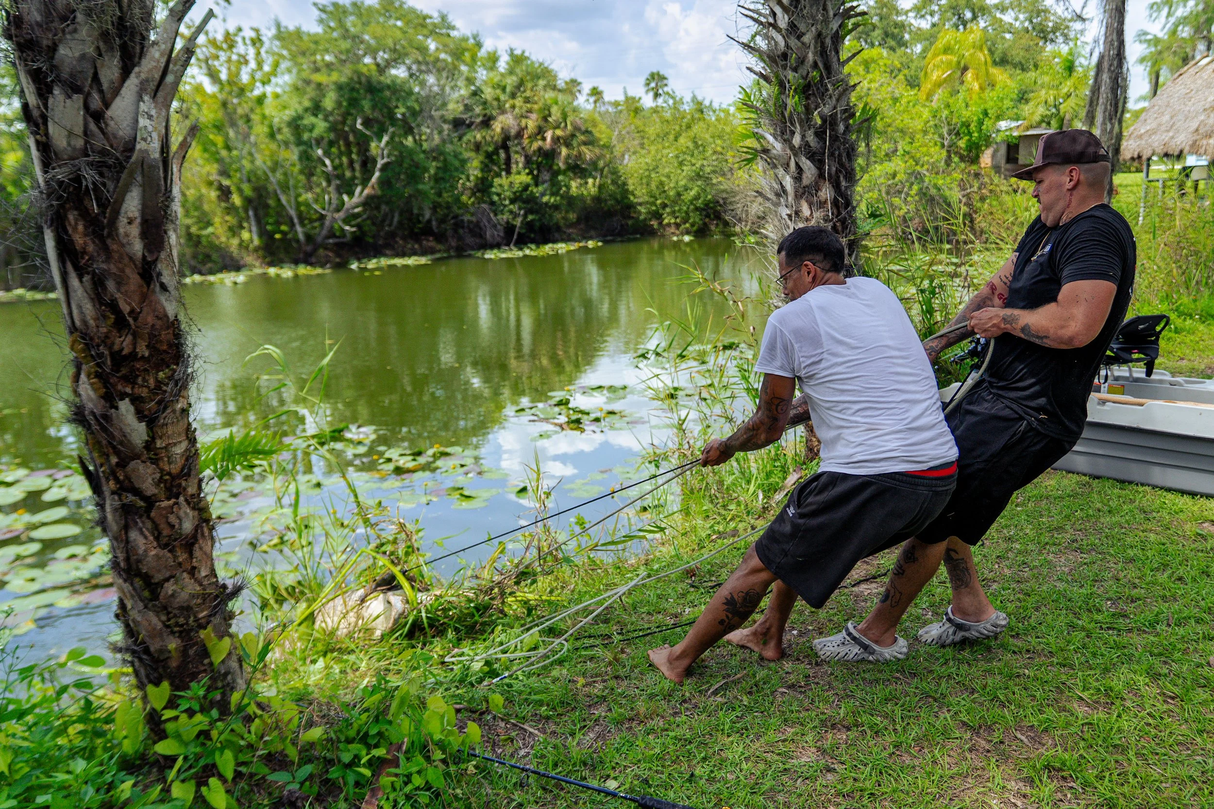 Gator 6-11-25-69.jpg