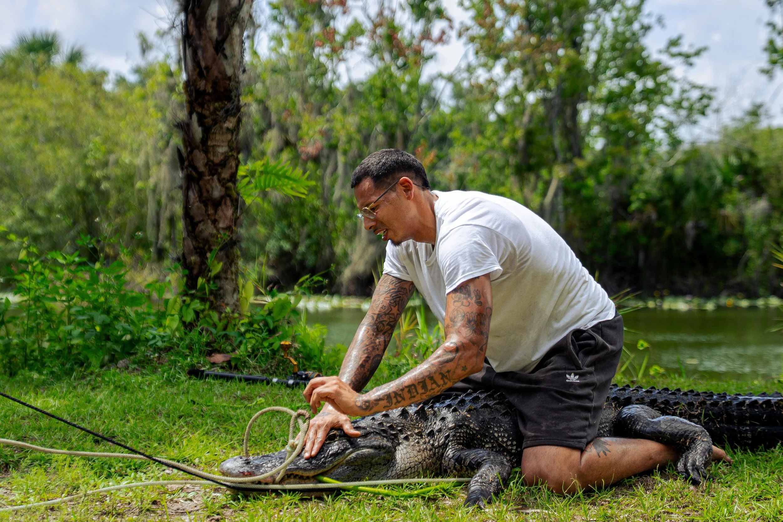 Gator 6-11-25-58.jpg