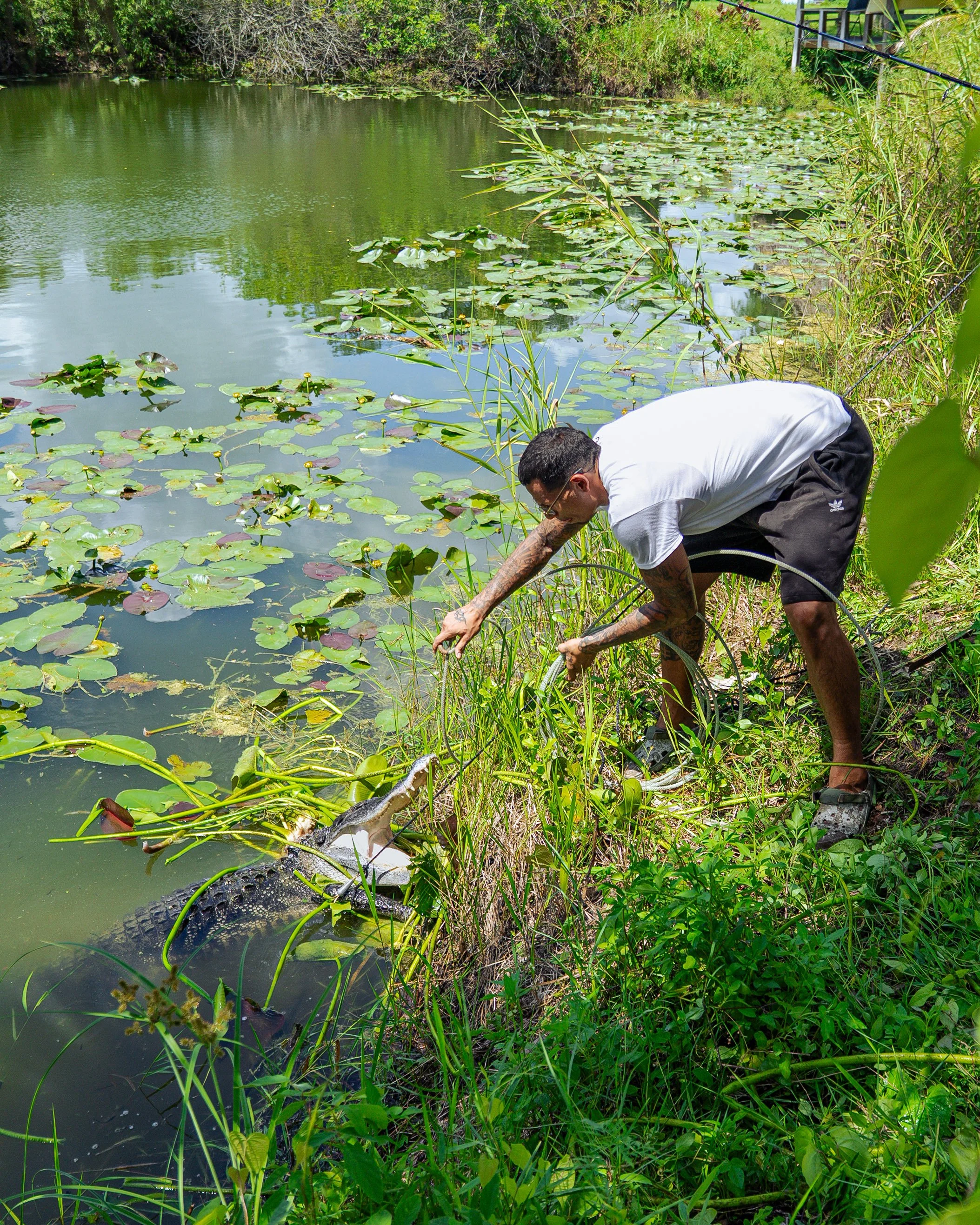 Gator 6-11-25-70.jpg