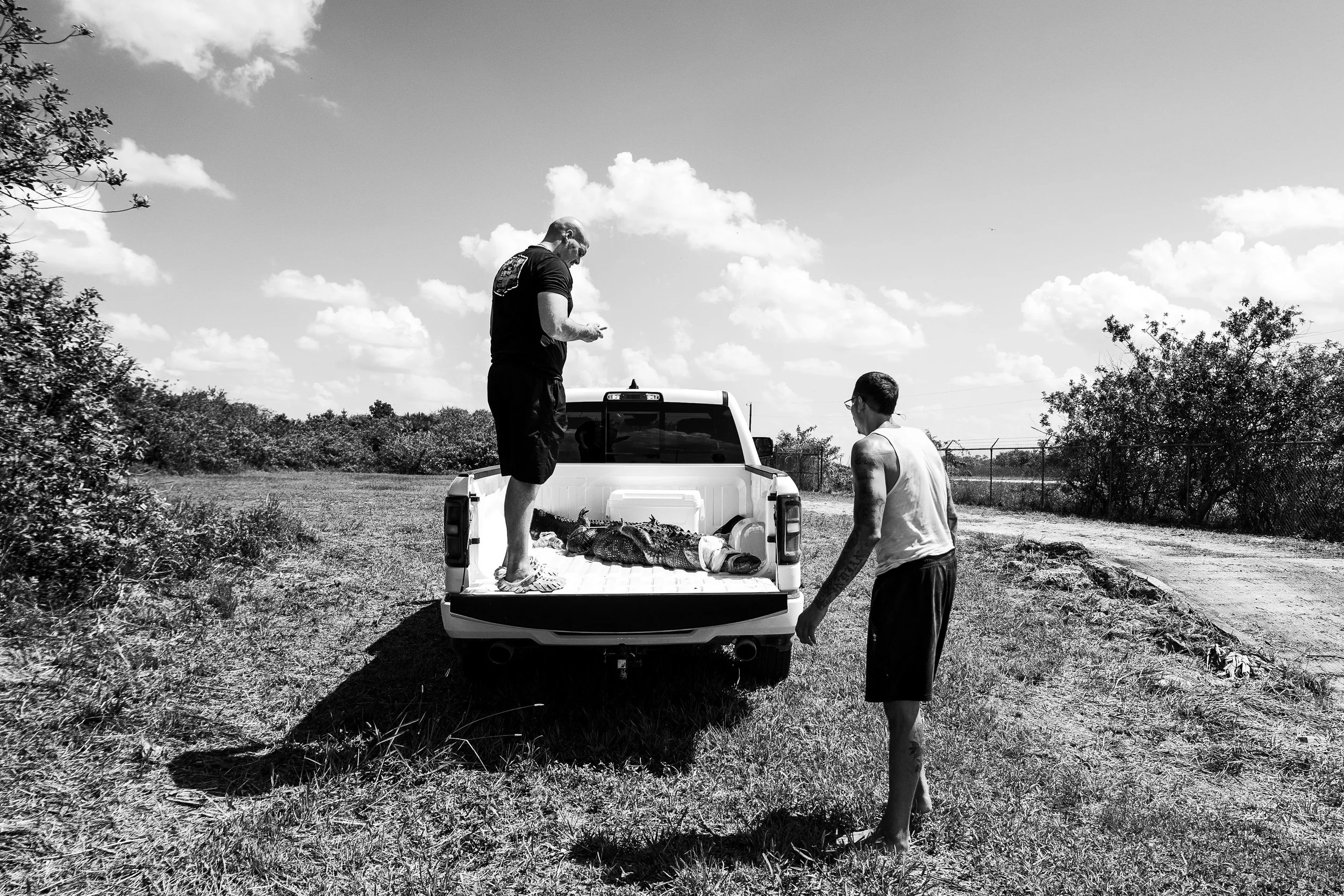 Gator 6-11-25-16.jpg